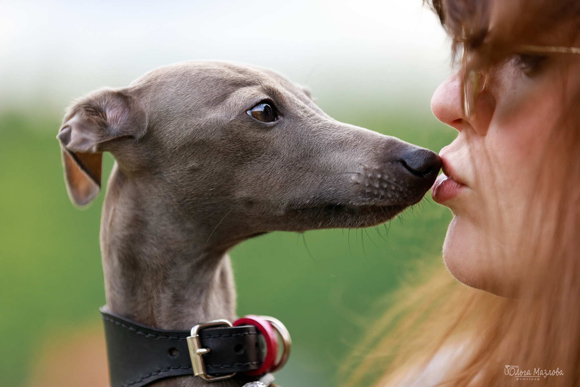 фотограф анималист Саратов