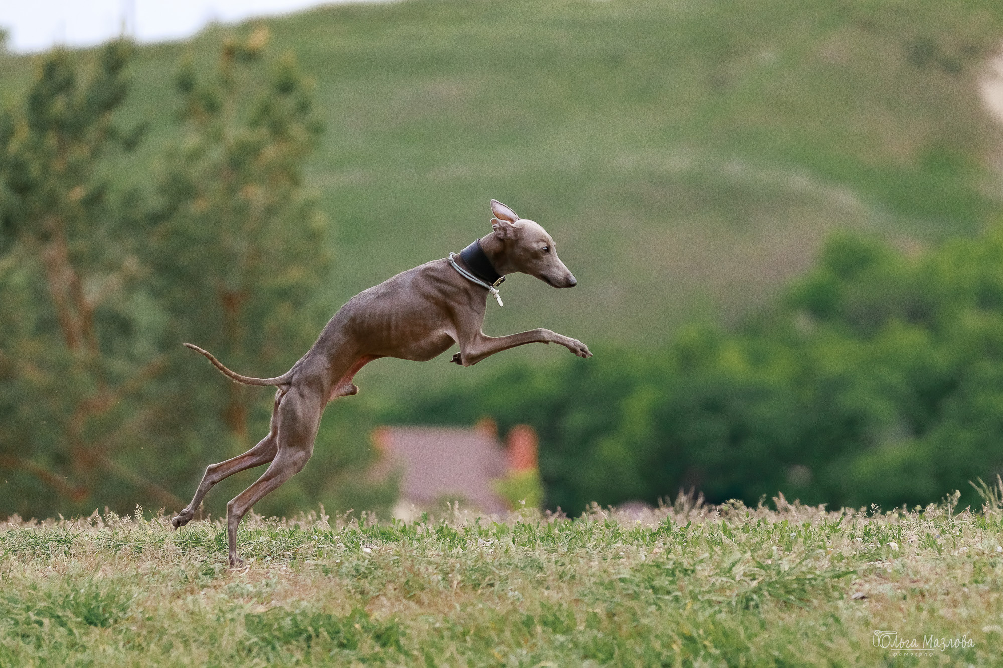 фотосъемка в Саратове