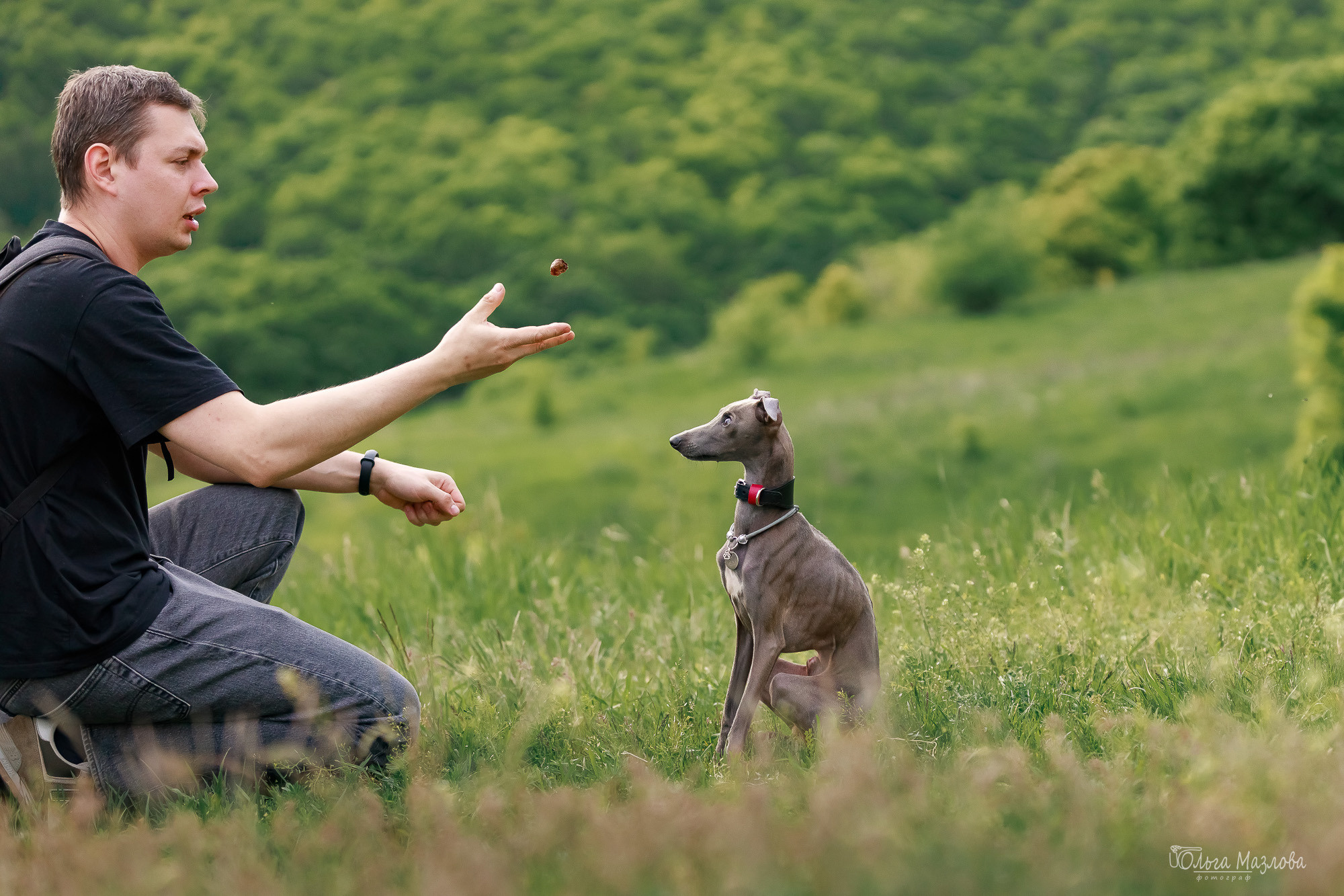 Фотосессия с собакой в Саратове. Фотограф в Саратове Ольга Мазлова