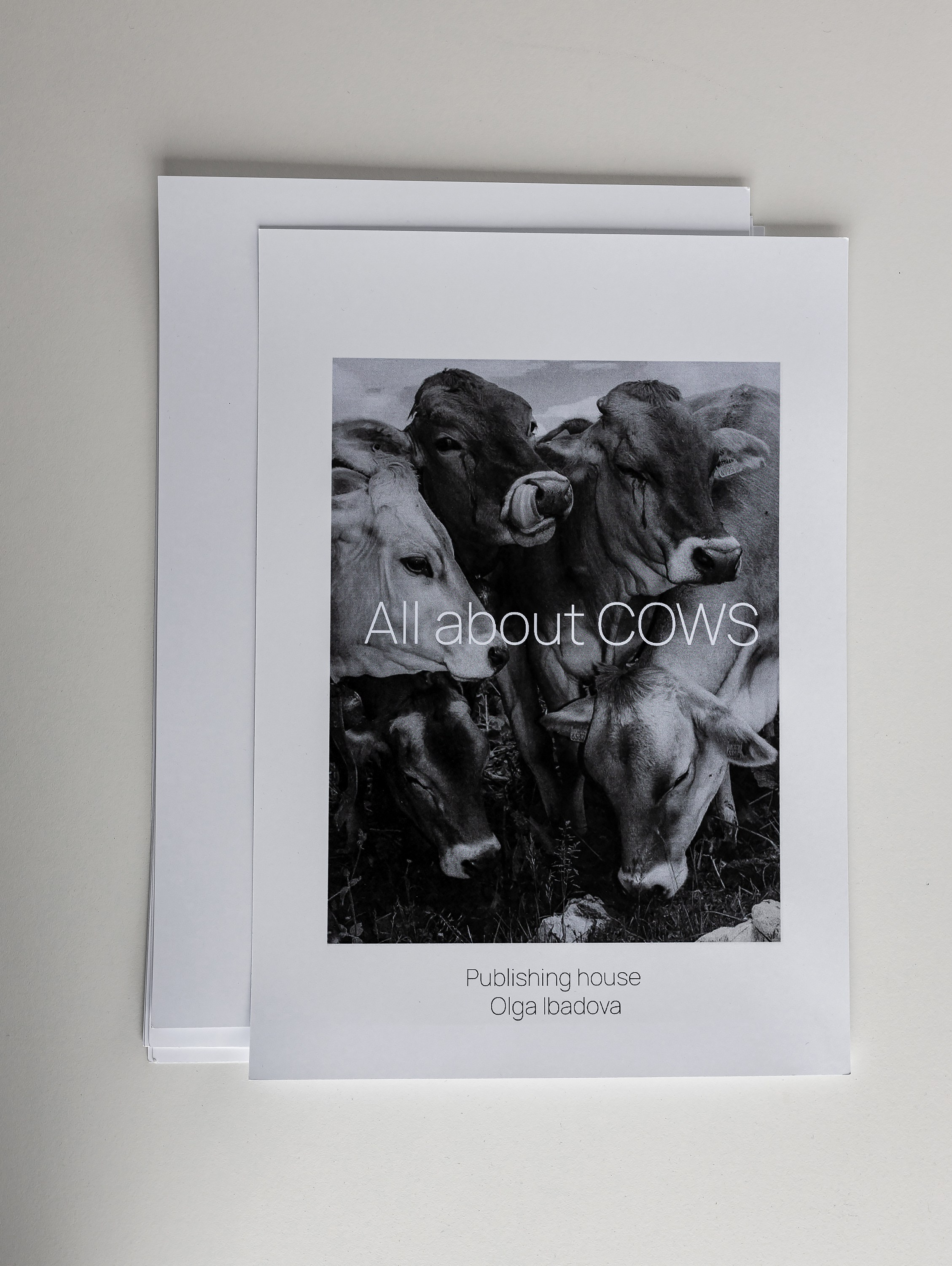 Офис в современном стиле. Интерьерный фотограф Виталина Ворошкевич