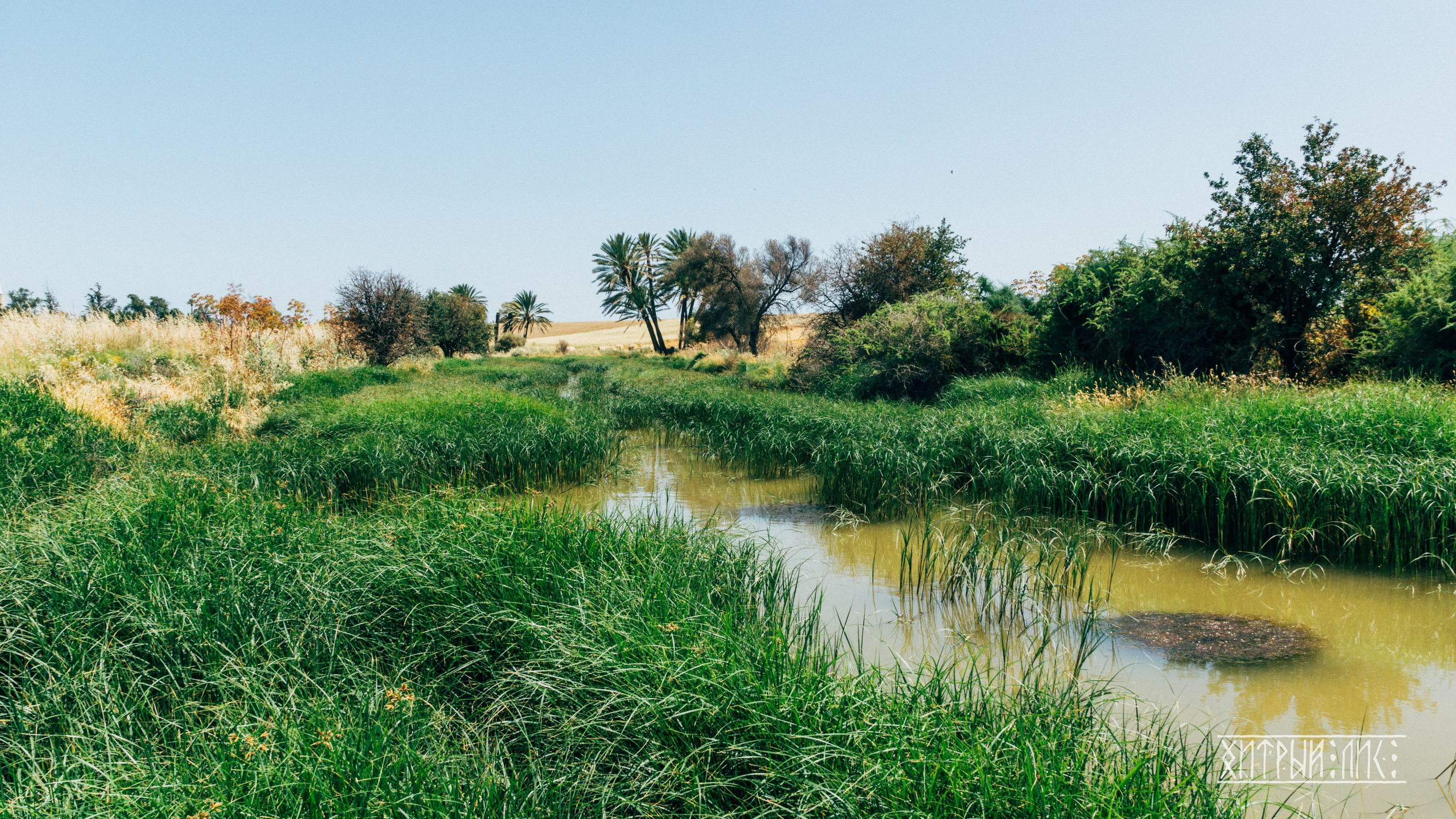 Кипр. Фотограф-путешественник Самойлов Максим «Sly Fox»