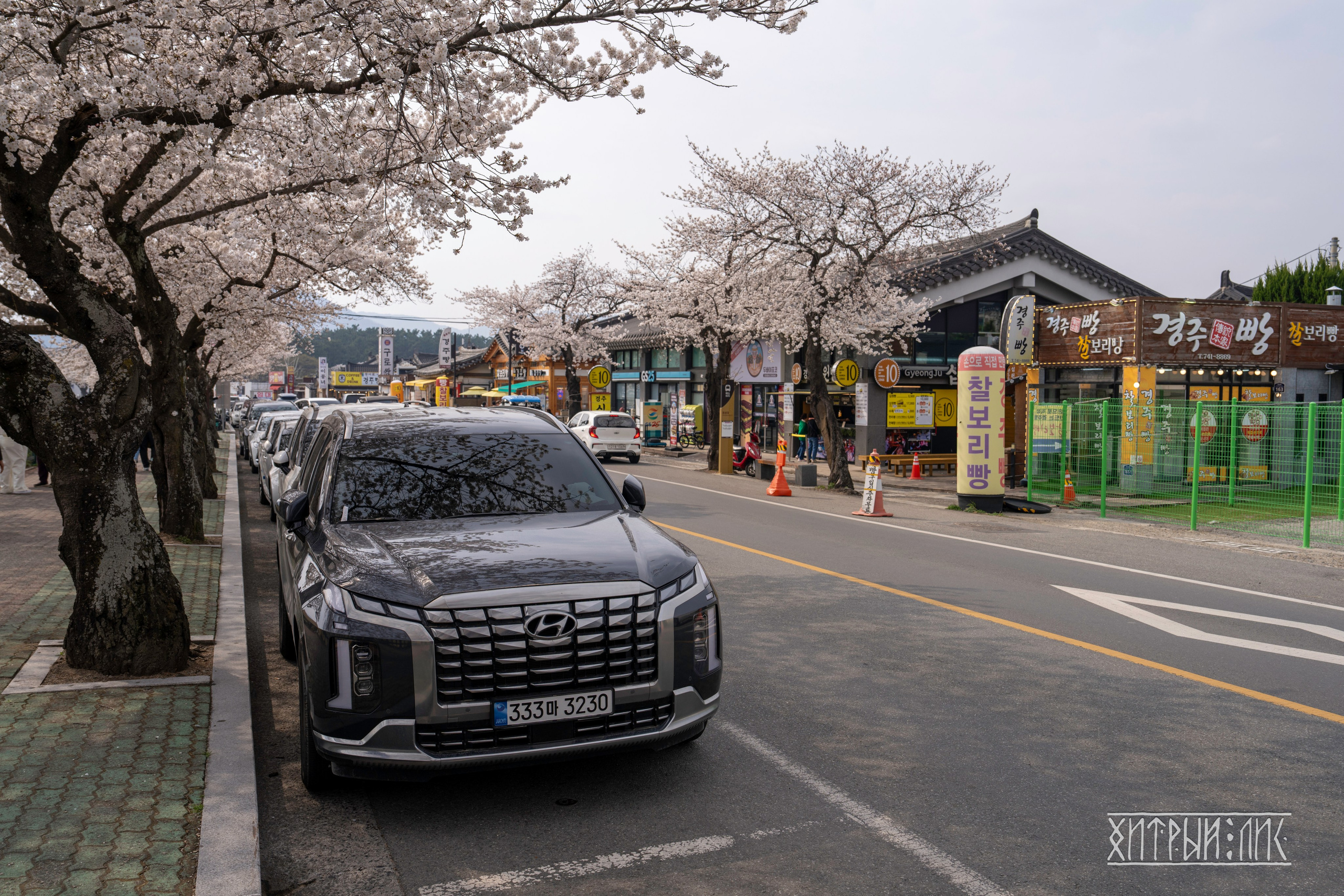 Южная Корея. Фотограф-путешественник Самойлов Максим «Sly Fox»
