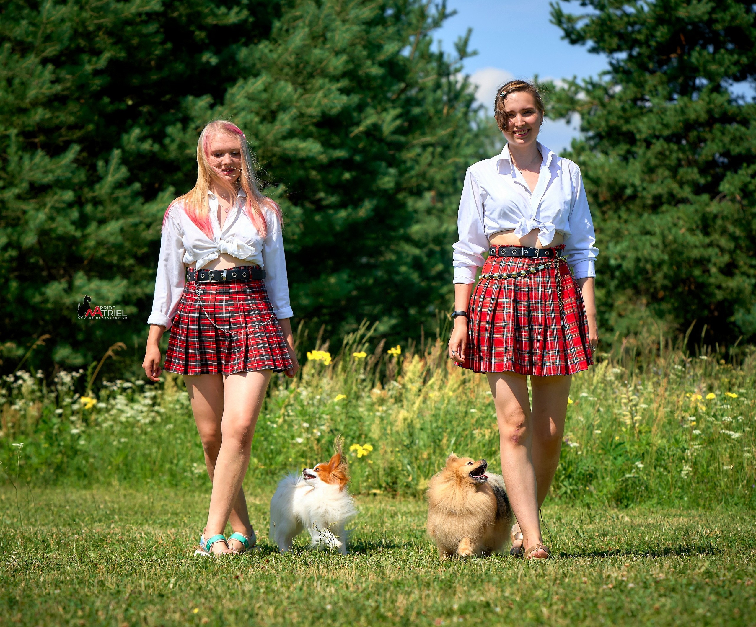 Обидиенс и танцы с собаками — галерея NATRIEL