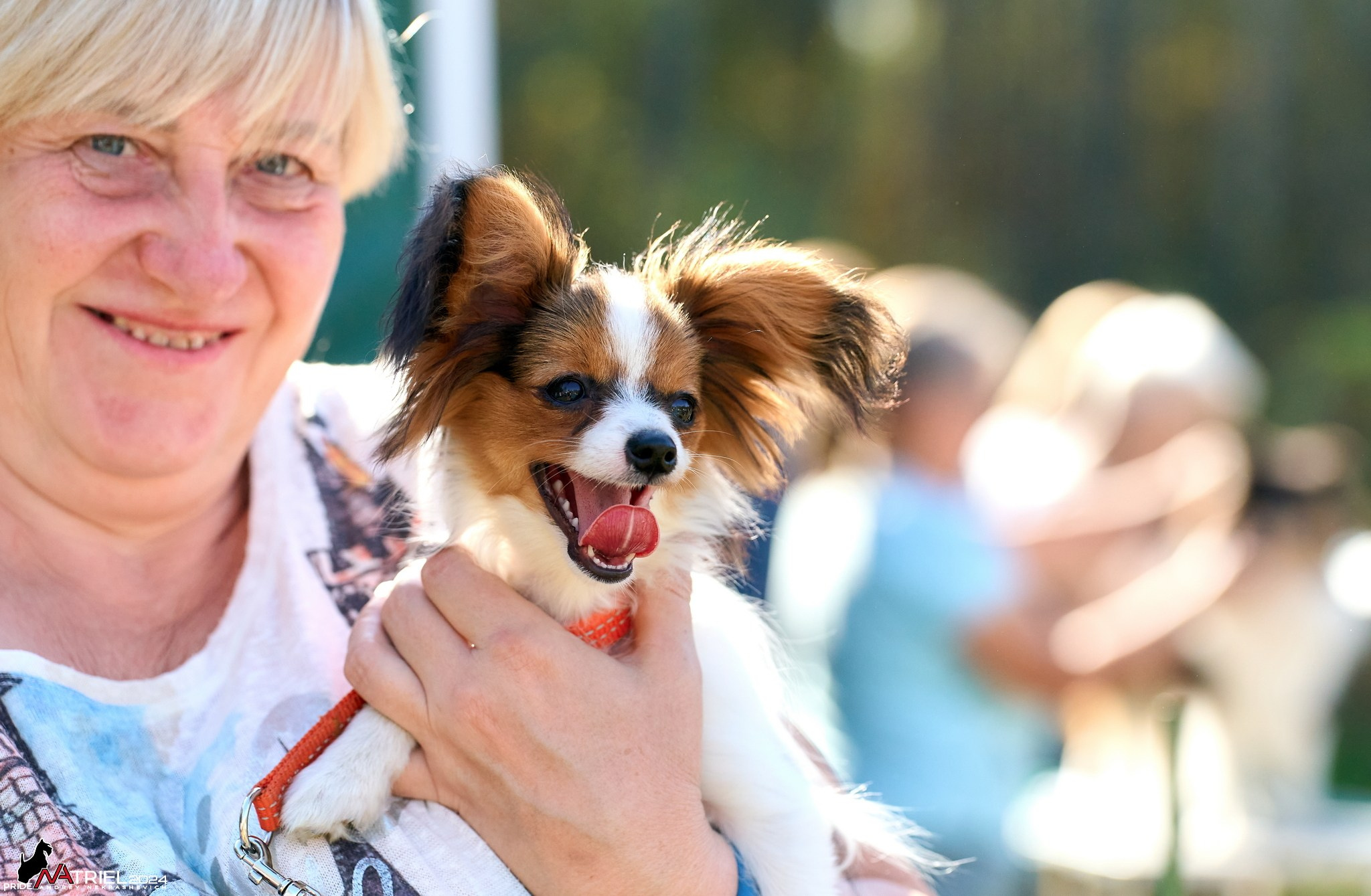 Съемка на выставке в Электросталь