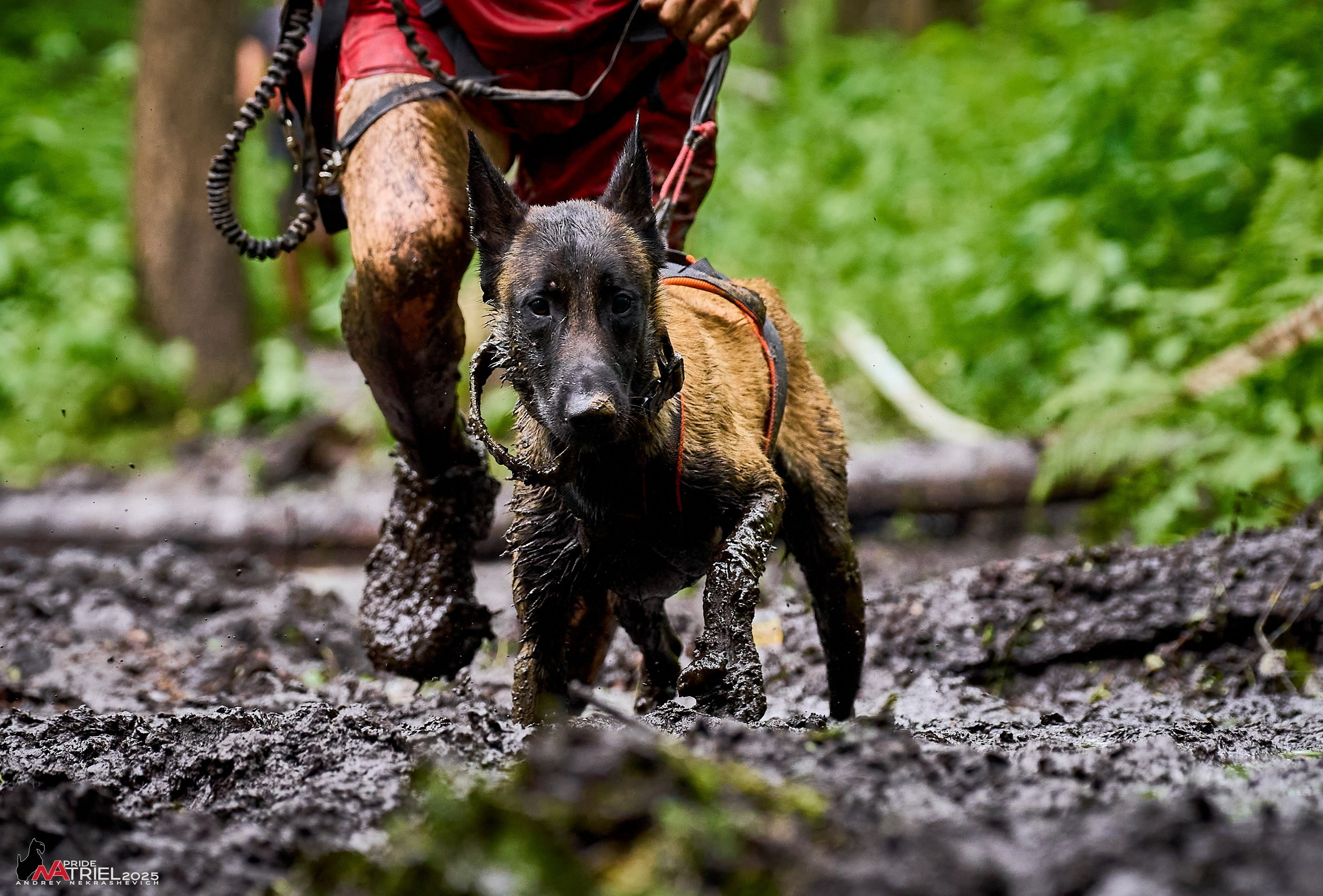 Russian Extreme Dog Trail — 2025