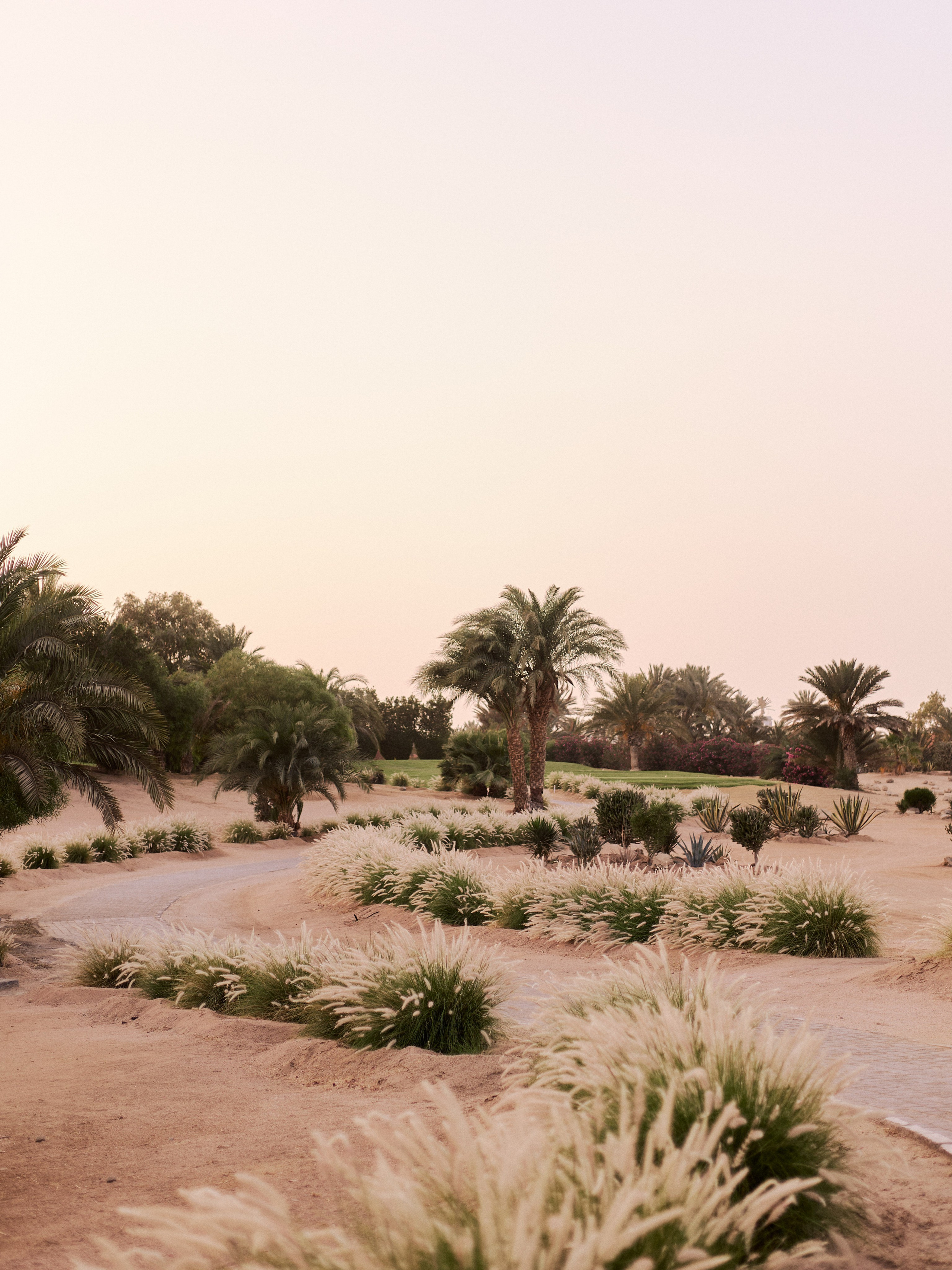 Диптих. Jorgis — фотограф в Хургаде / обучение фотографии