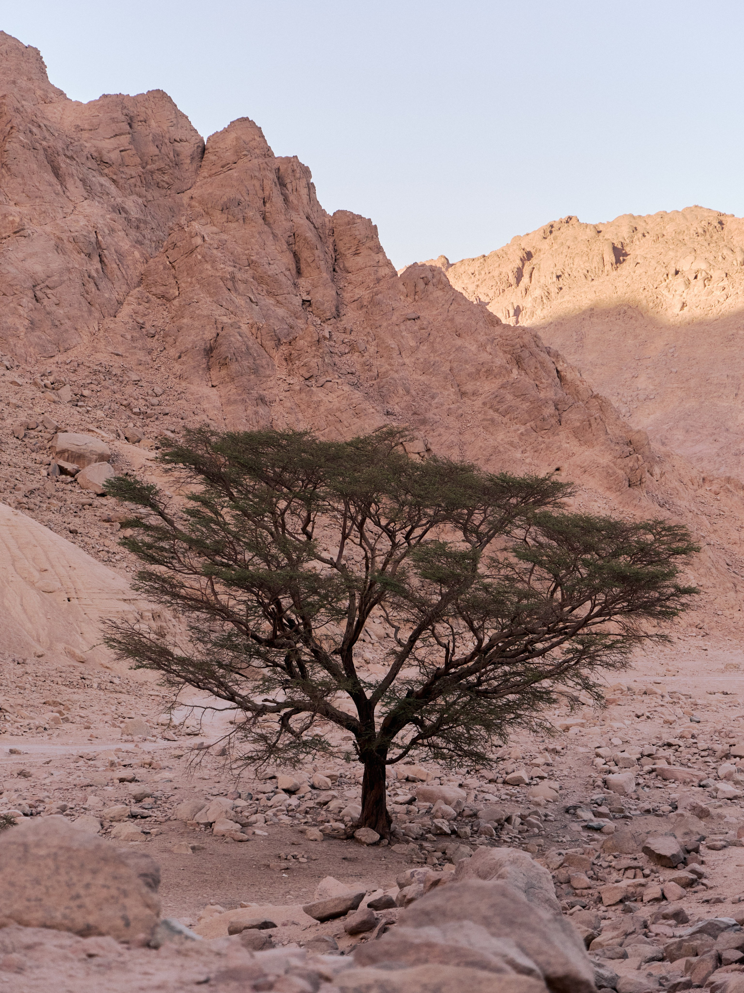 Другое 4. Jorgis — фотограф в Хургаде / обучение фотографии