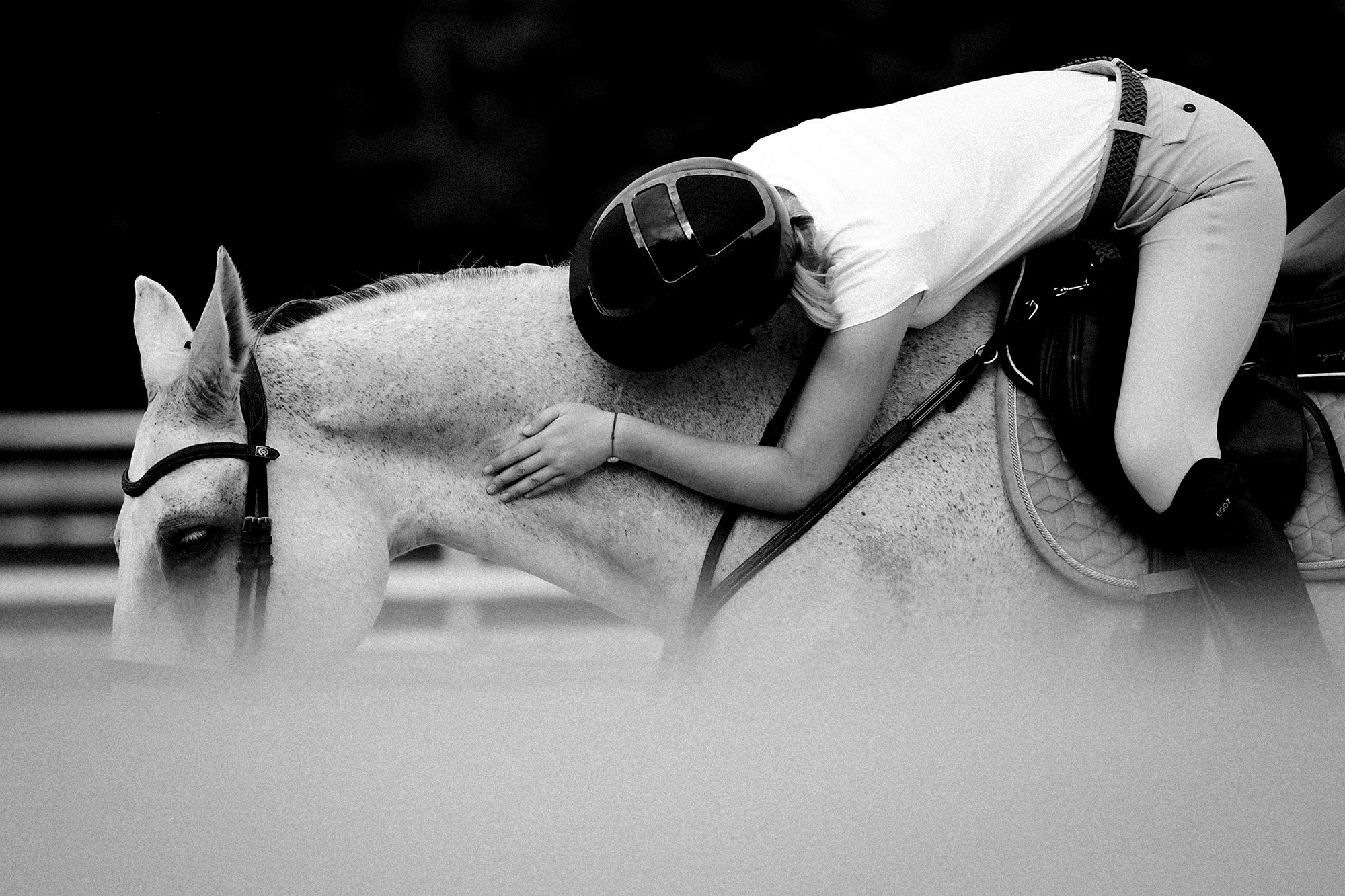 Тренировки. Конный фотограф Alesya Safe