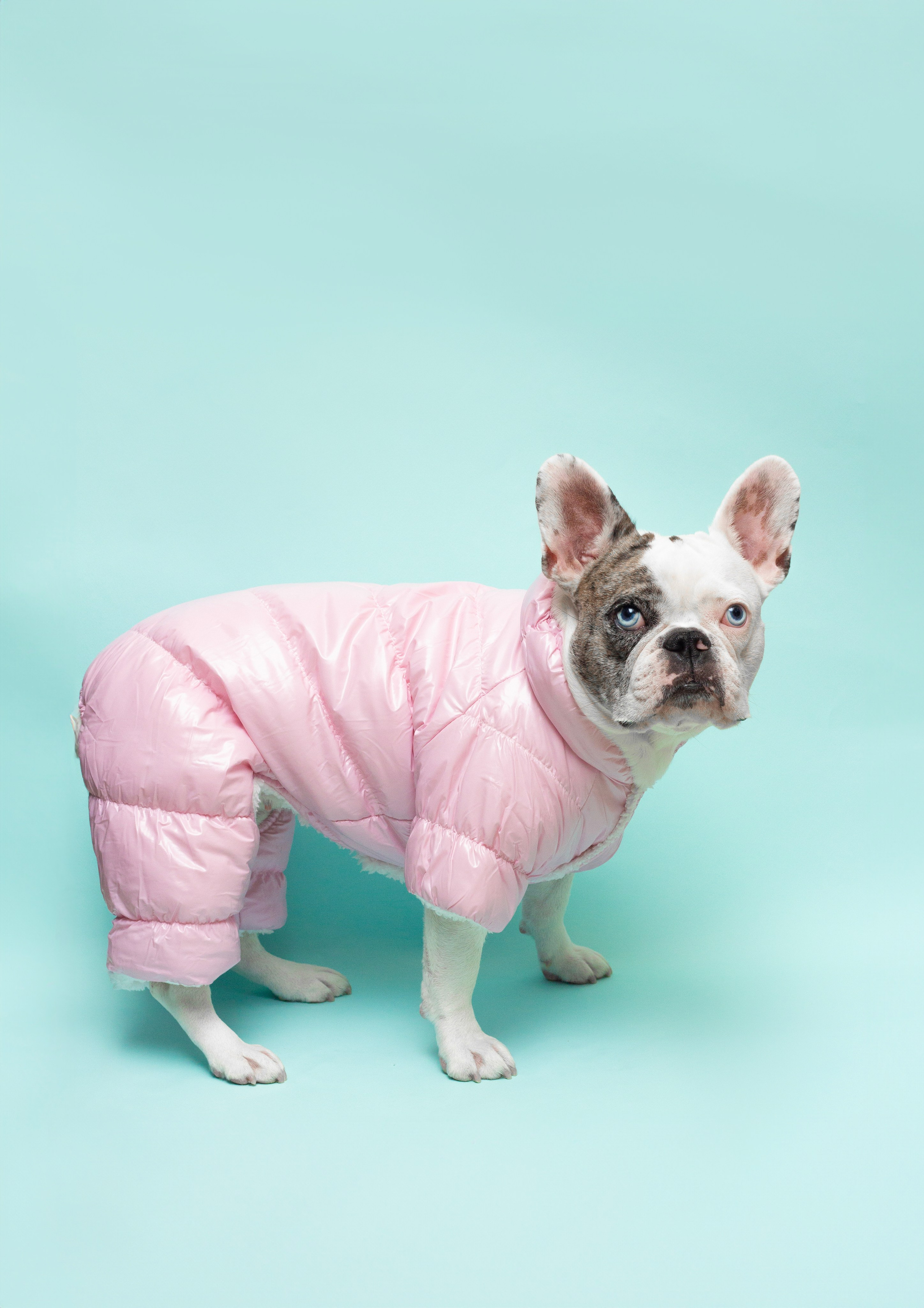 Предметная съемка. Коммерческий фотограф в Санкт — Петербурге Настя Пак