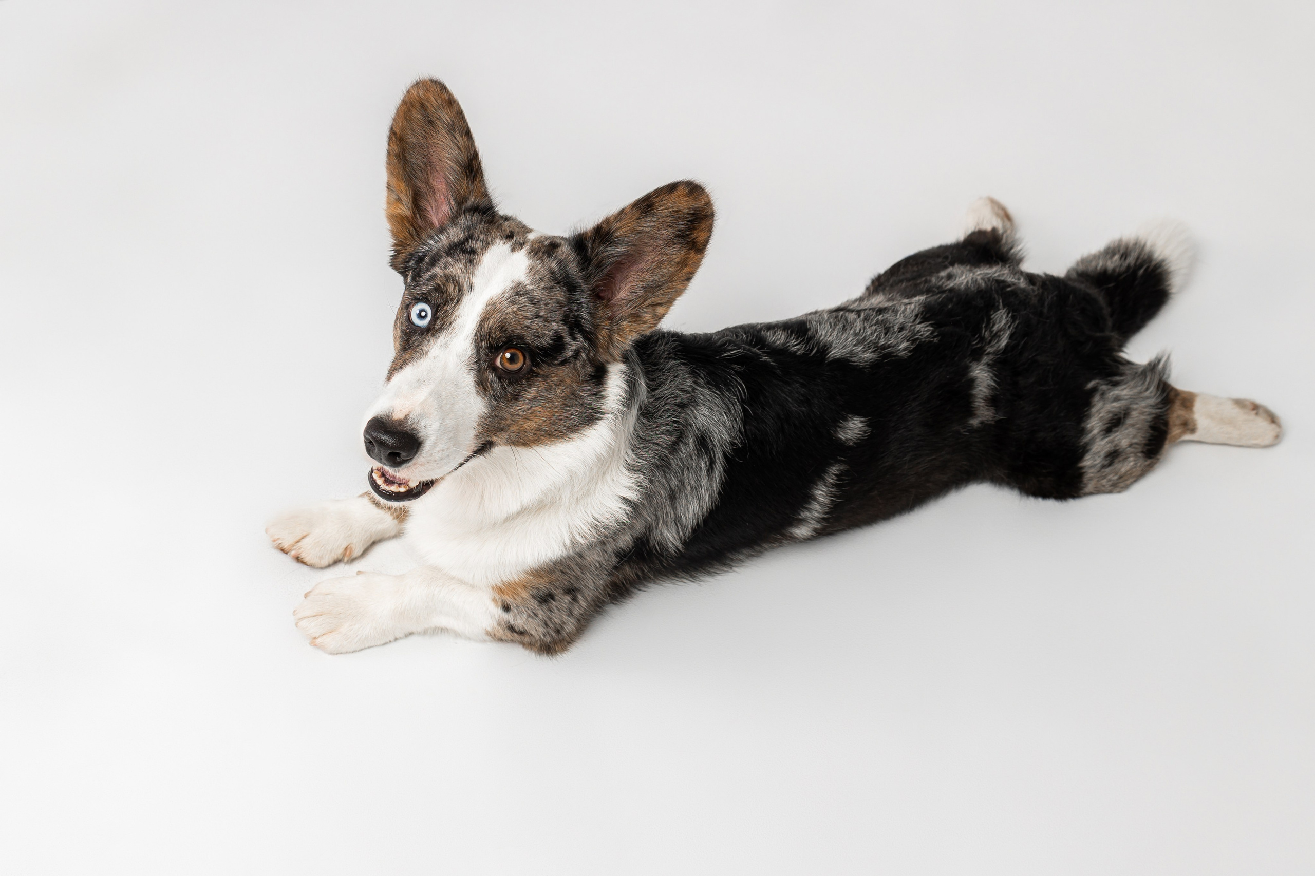 Анатолий и Рагнар