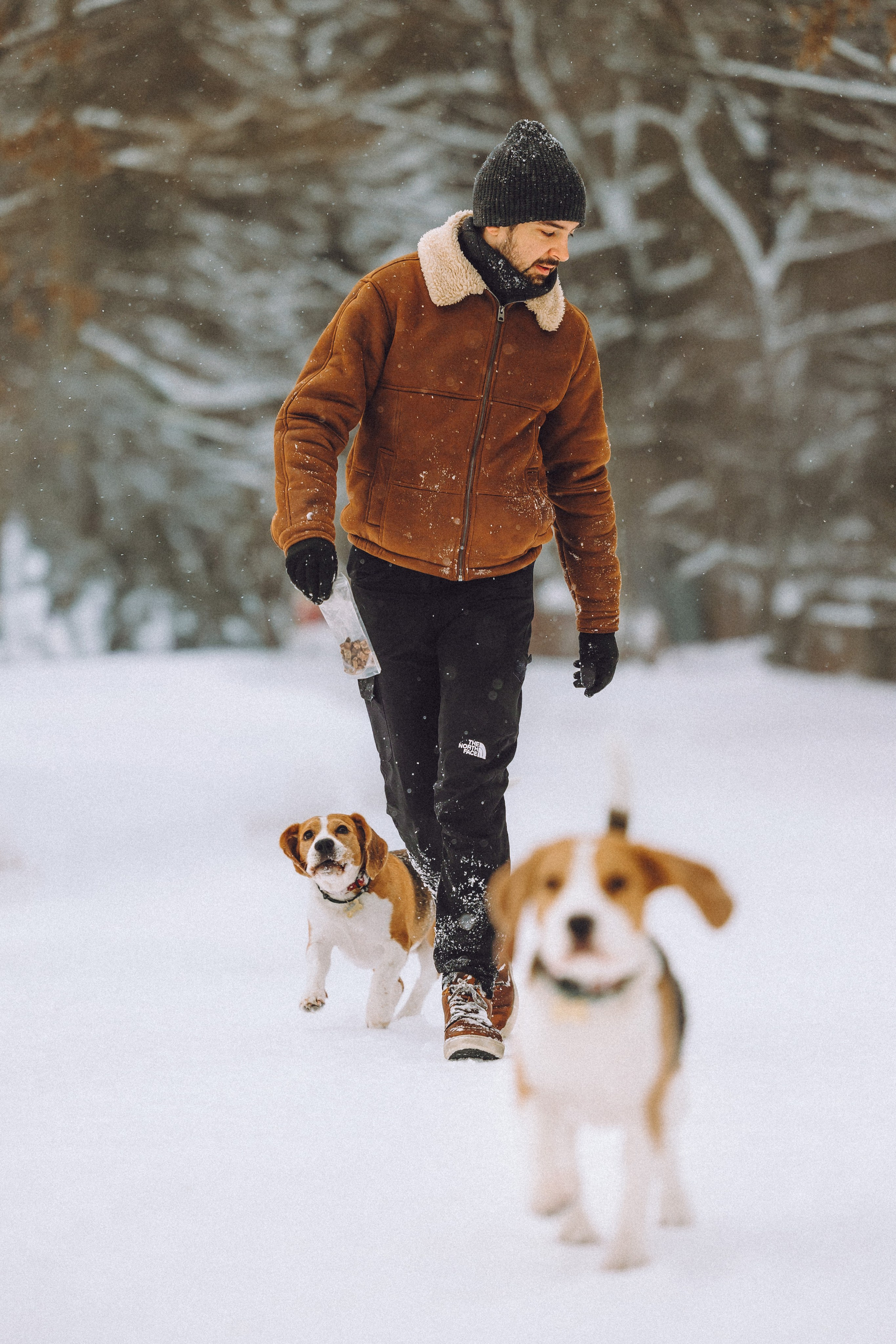 Роман, Портер и Коррес