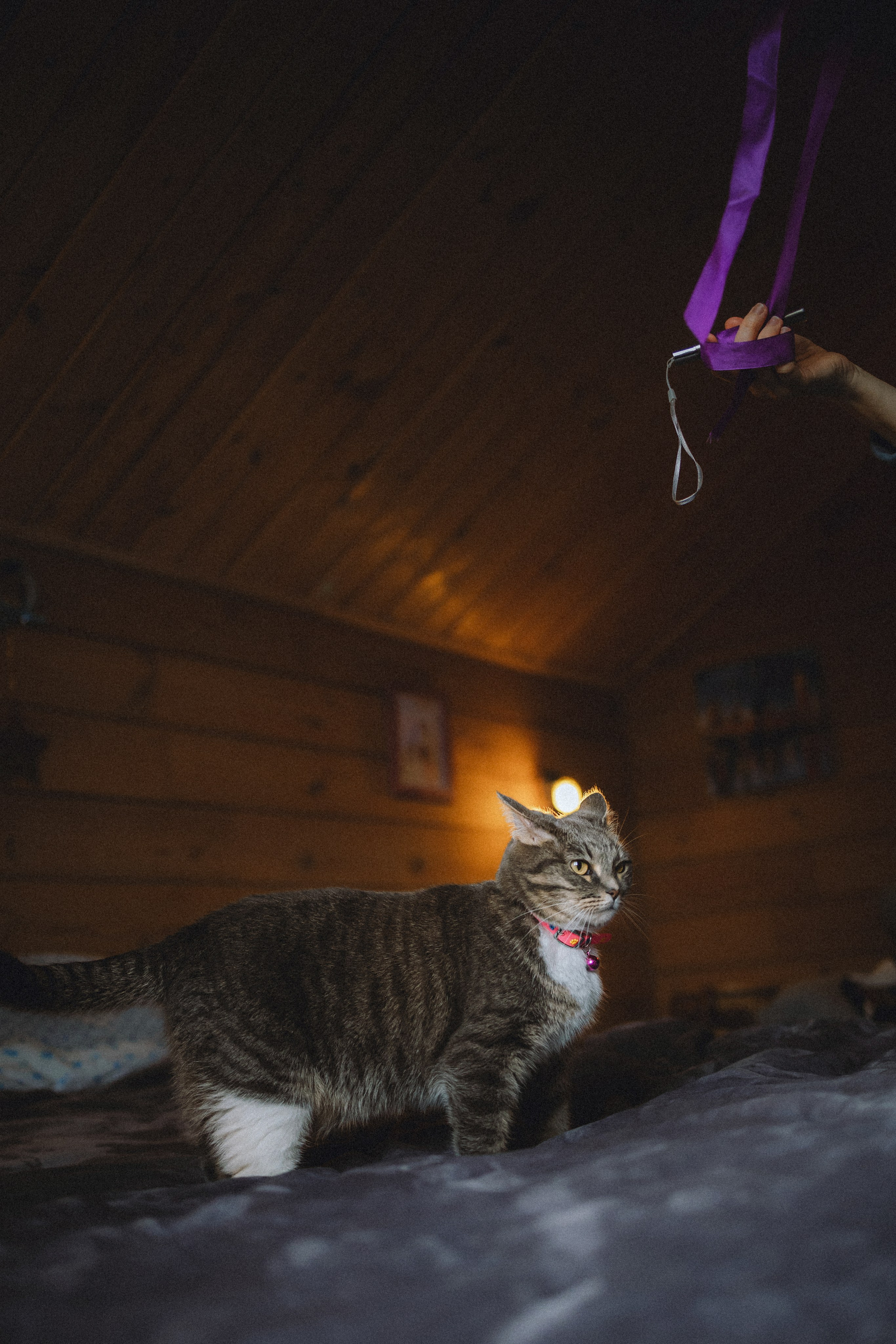 Леброн, Муся и их семья