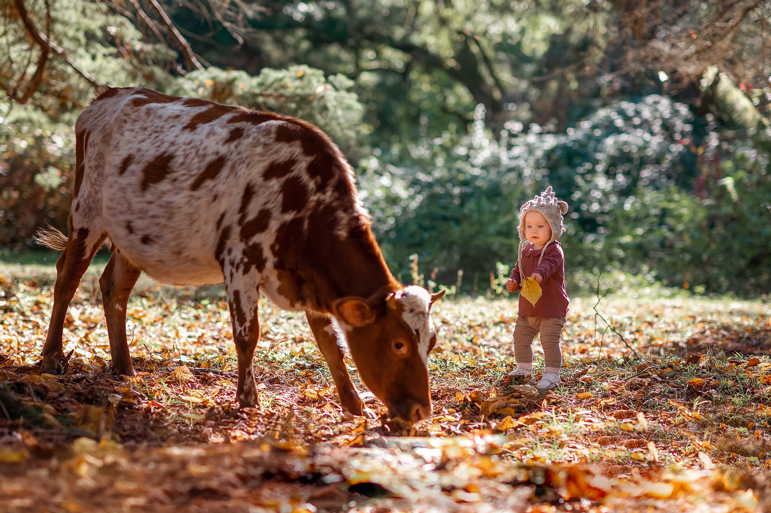 Детские. Детский фотограф Абхазия