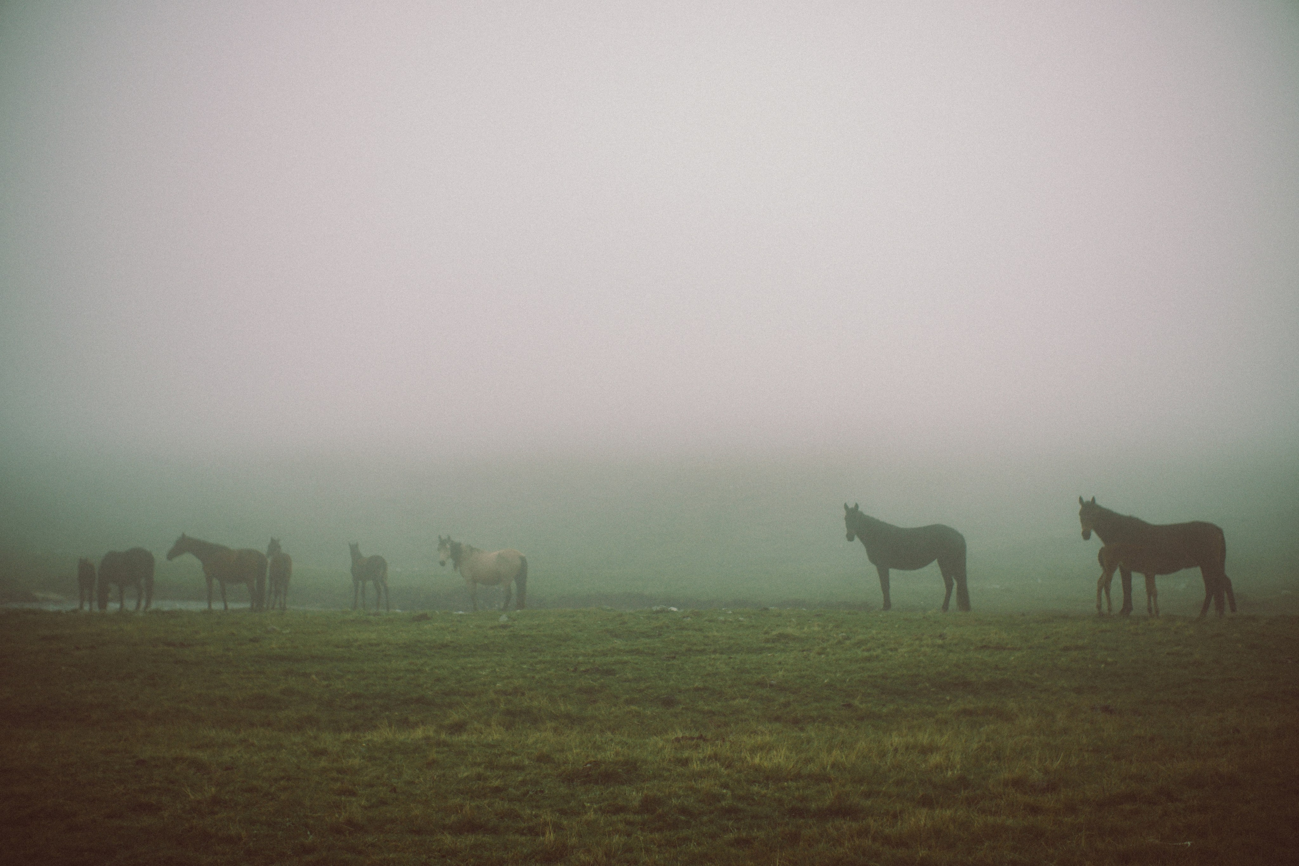 Фотографии из путешествий. NECULTURED PHOTOGRAPHER