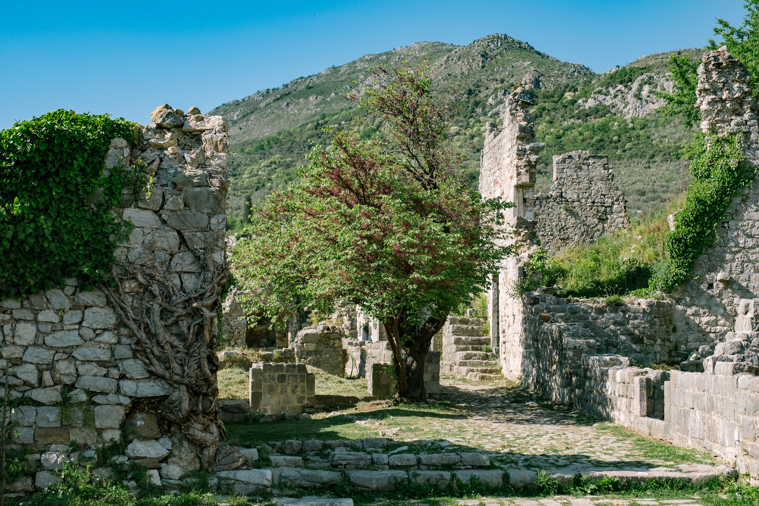 Черногория. Свадебный Видеограф Фотограф в Сочи