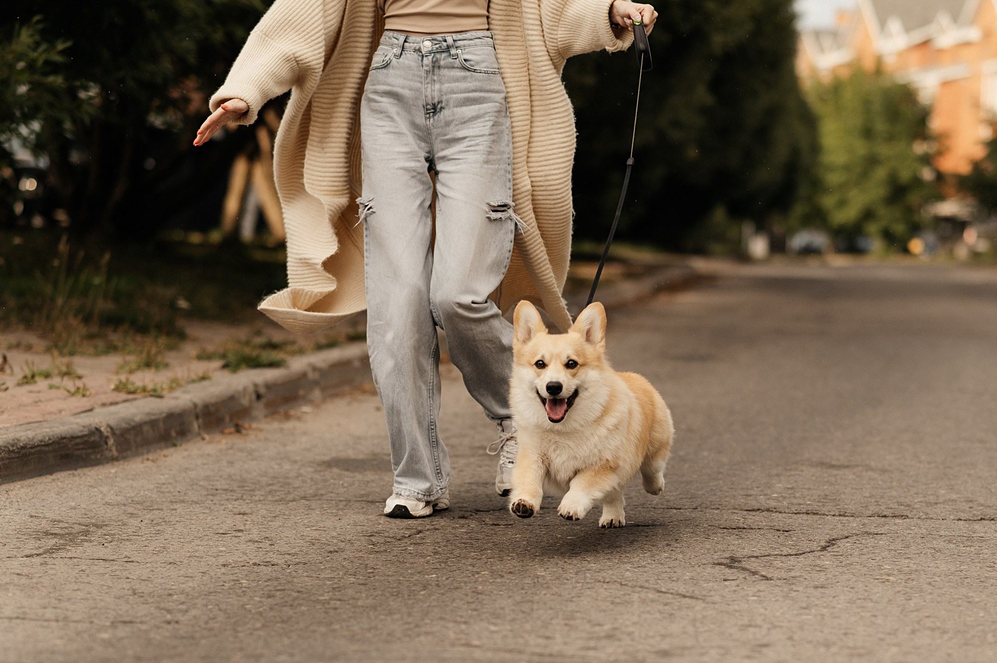 Алеся и Фокс. Фотограф Виктория Грибова г. Вологда