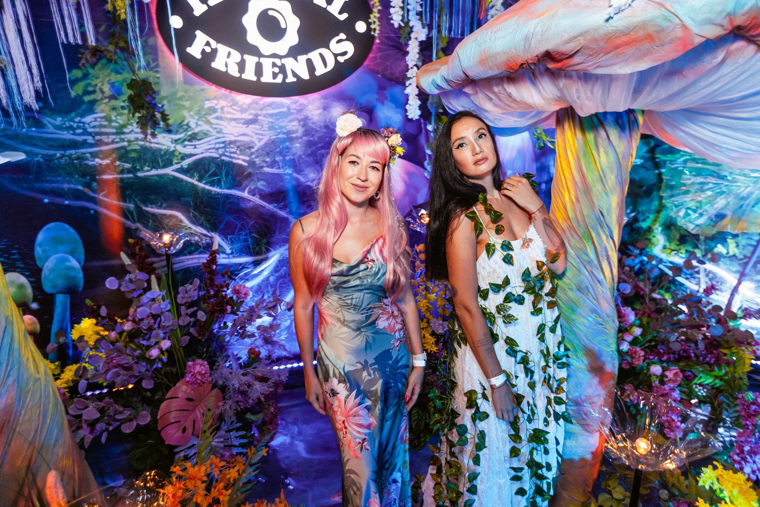 ILLEGAL FRIENDS WONDERLAND [PART I]. СВОИ. ФОТООТЧЕТЫ-СОБЫТИЯ-МЕСТА