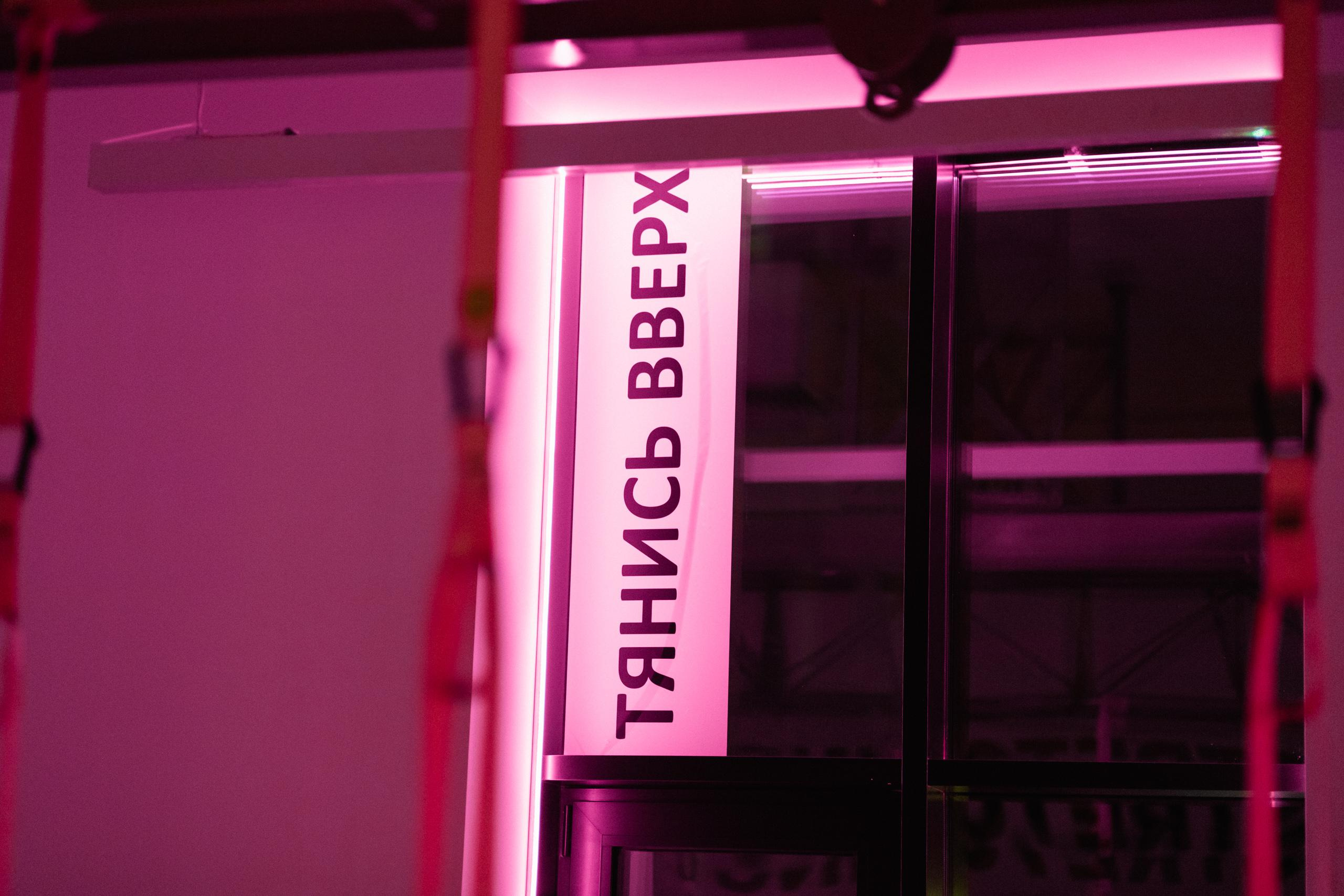 TOPSTRETCHING [ОТКРЫТИЕ СТУДИИ]. СВОИ. ФОТООТЧЕТЫ-СОБЫТИЯ-МЕСТА