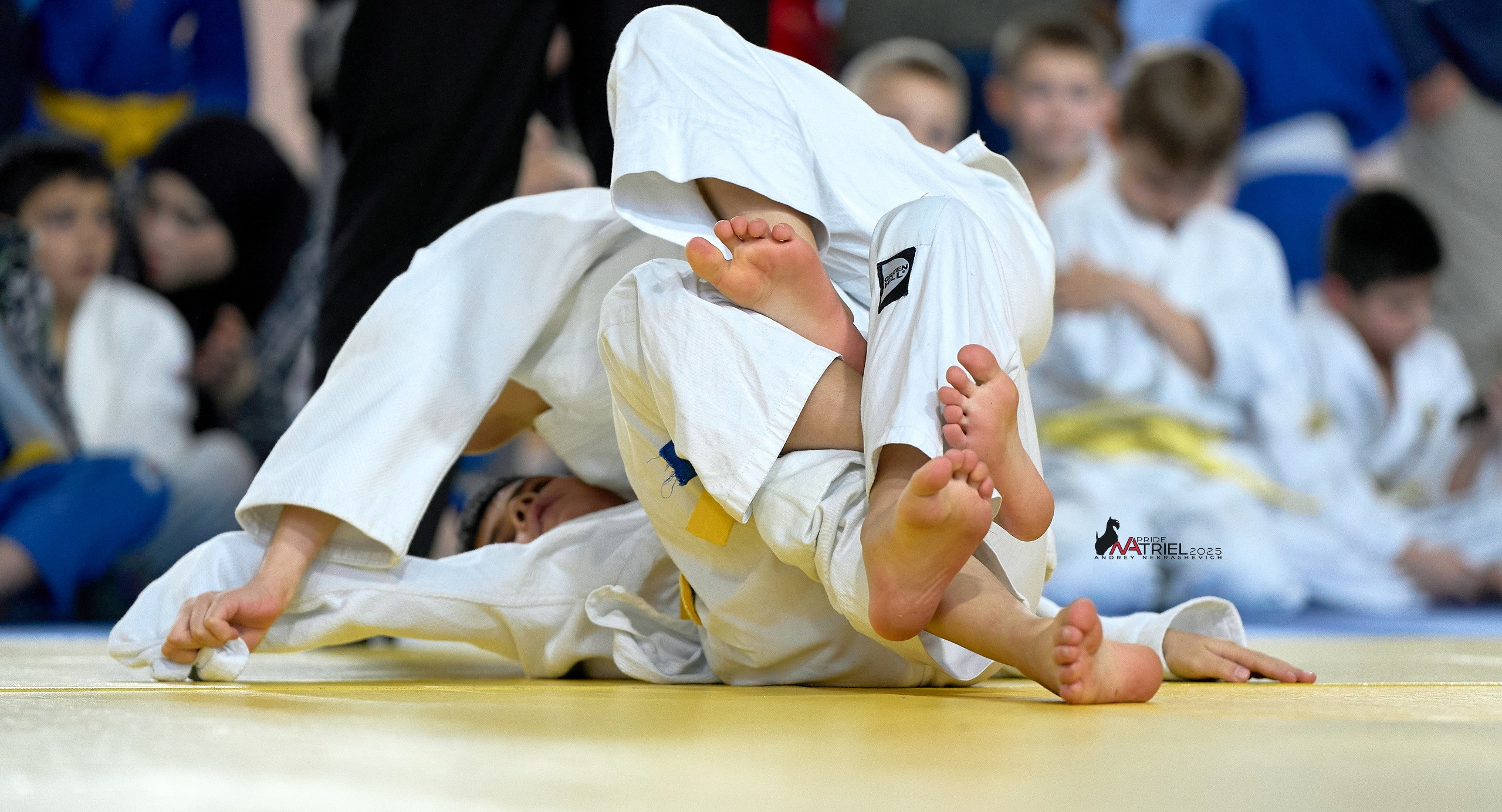 Репортаж с соревнований по дзюдо