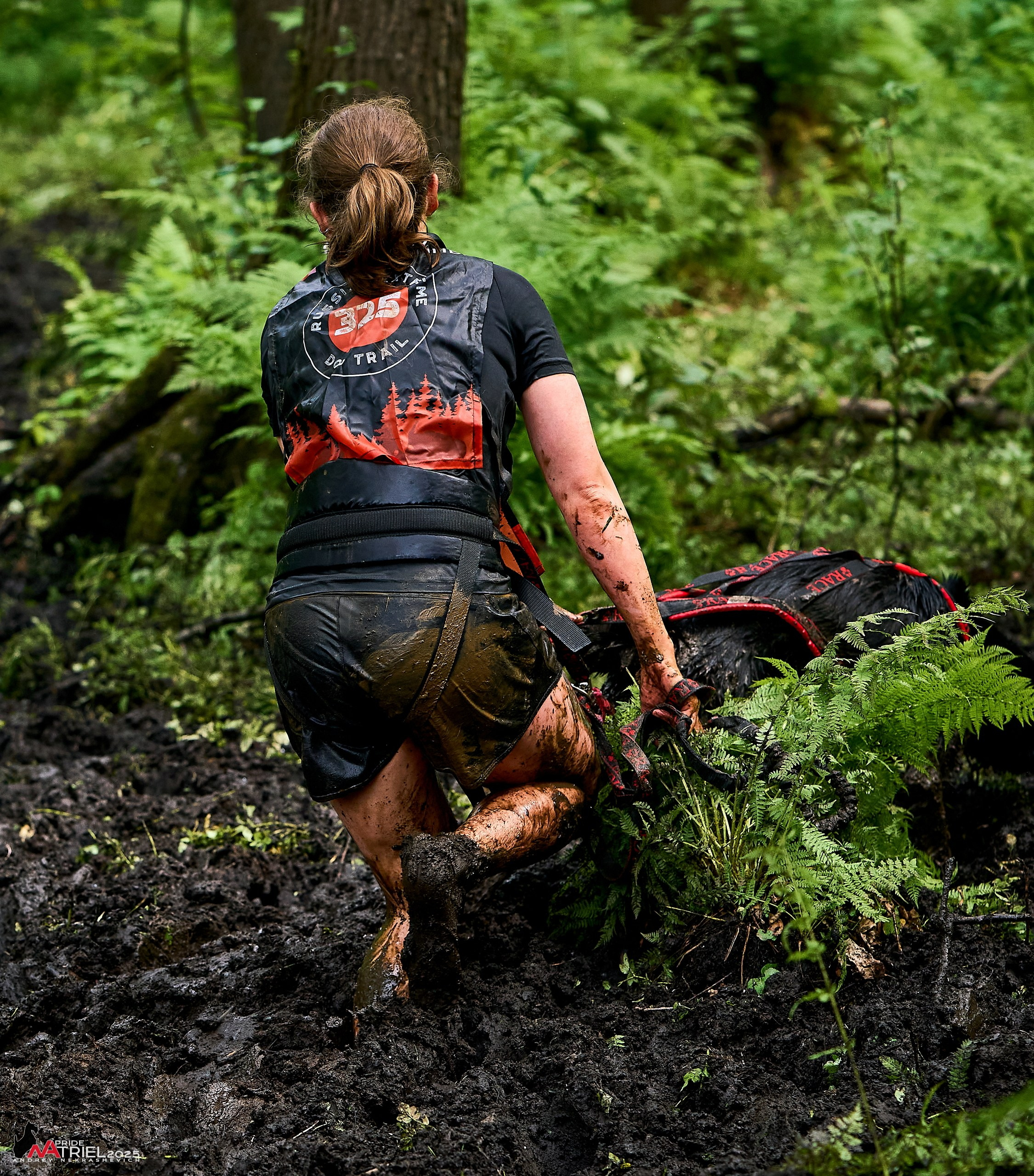 Russian Extreme Dog Trail — 2025