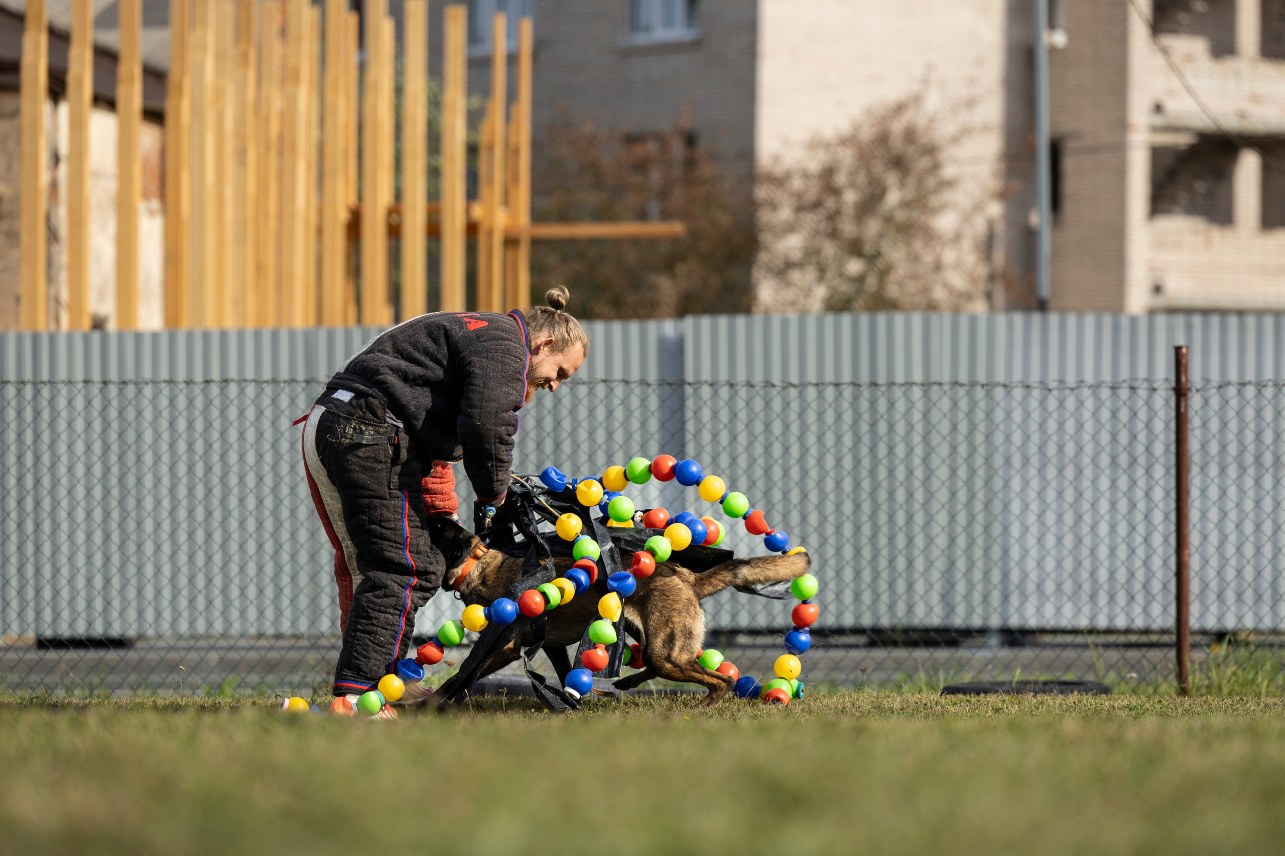 Испытания по Мондьорингу г. Пушкин. Фотограф-анималист Анна Маринич