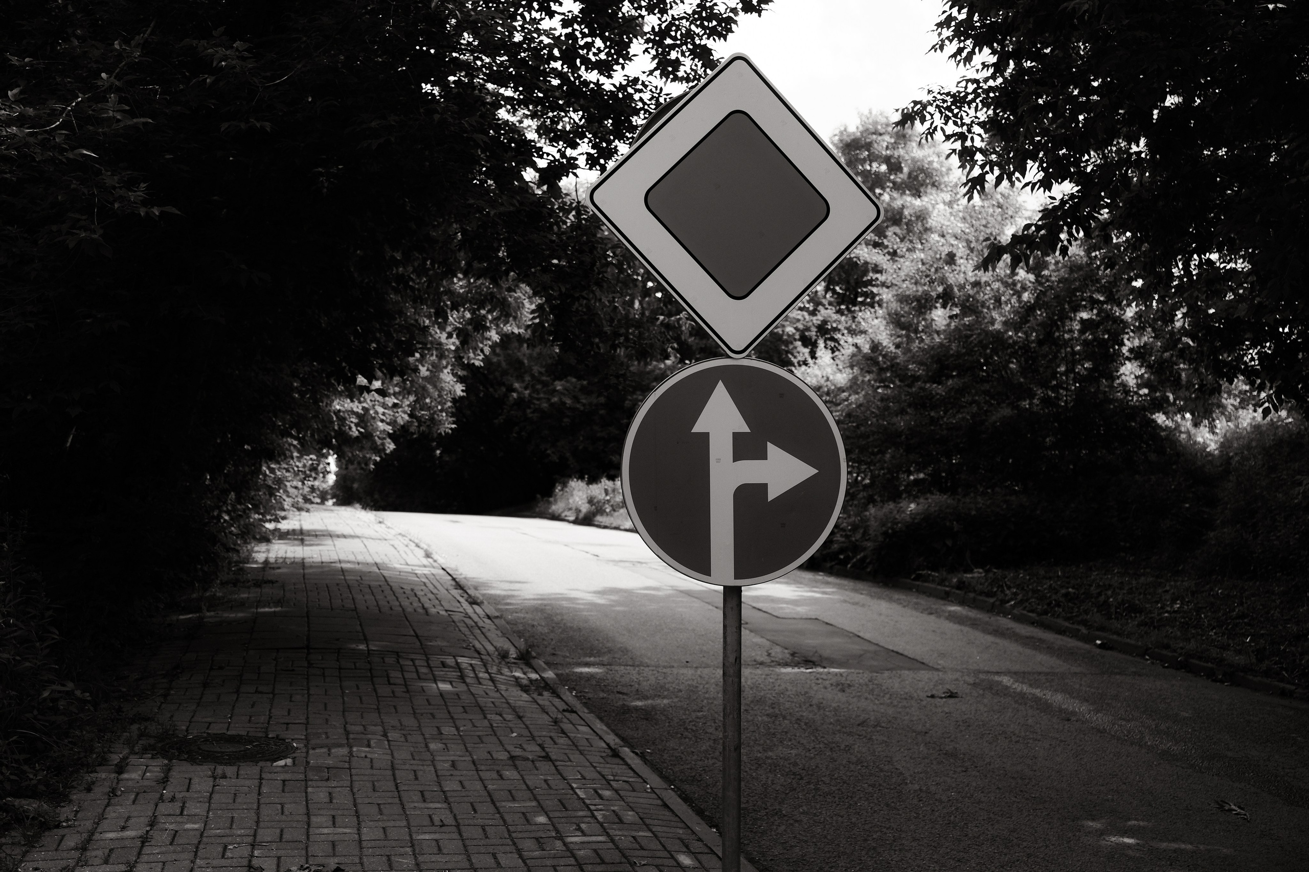 Прогулка по Воробьёвым горам. Фотограф Михаил Ерохин | Москва