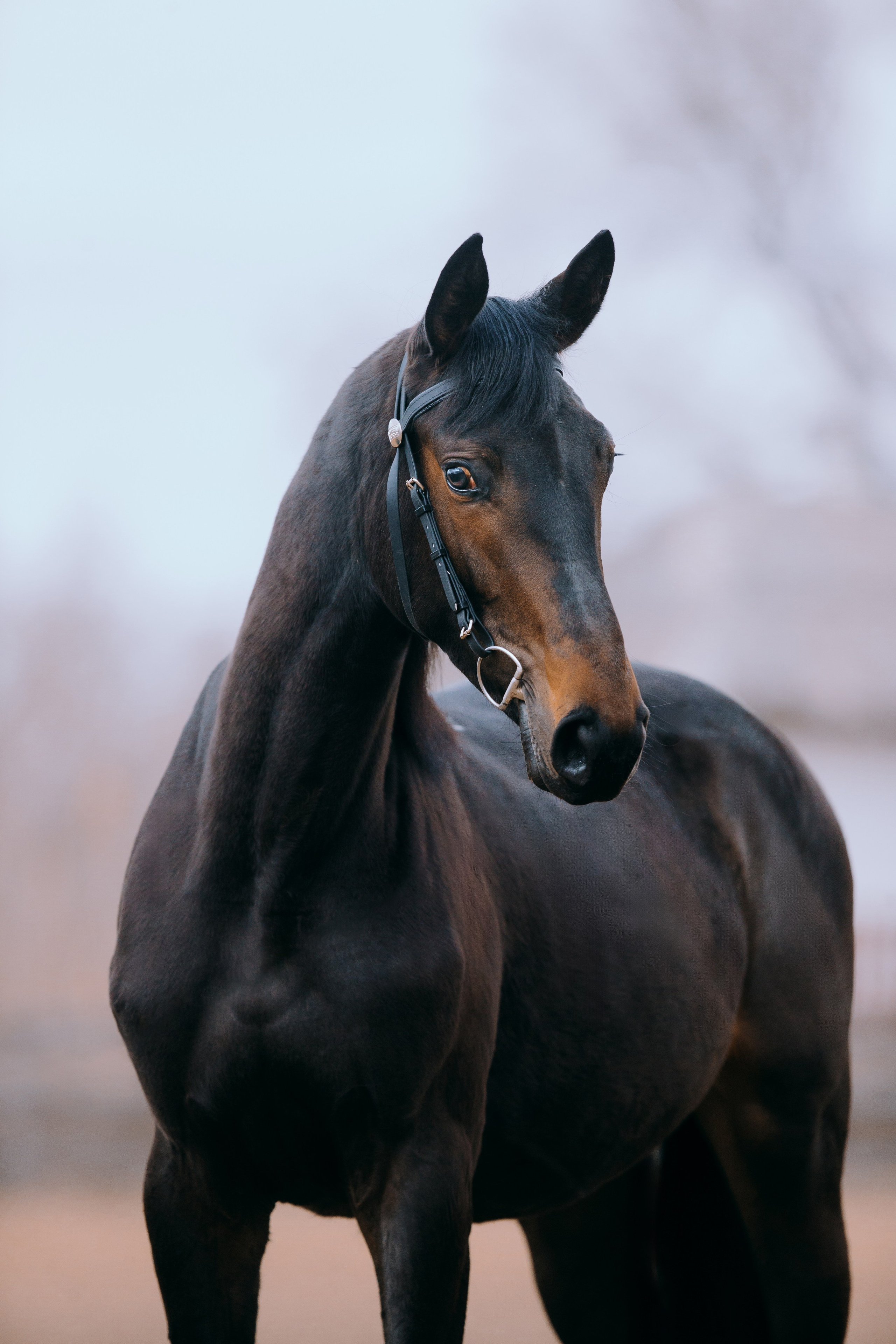 На природе. Фотограф-анималист Ксендзова Кристина