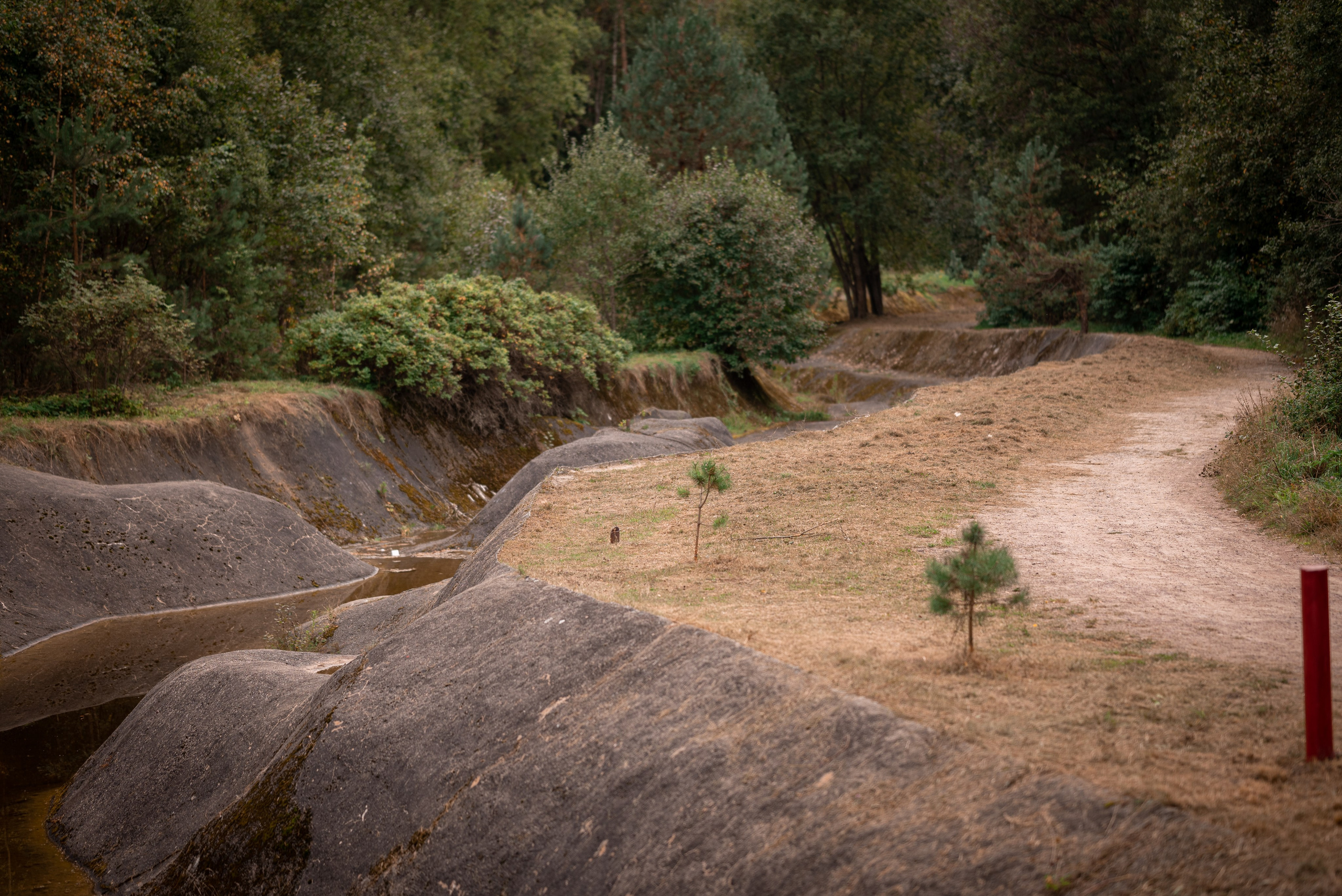 Места. Фотограф в Минске Дарья Кончакова