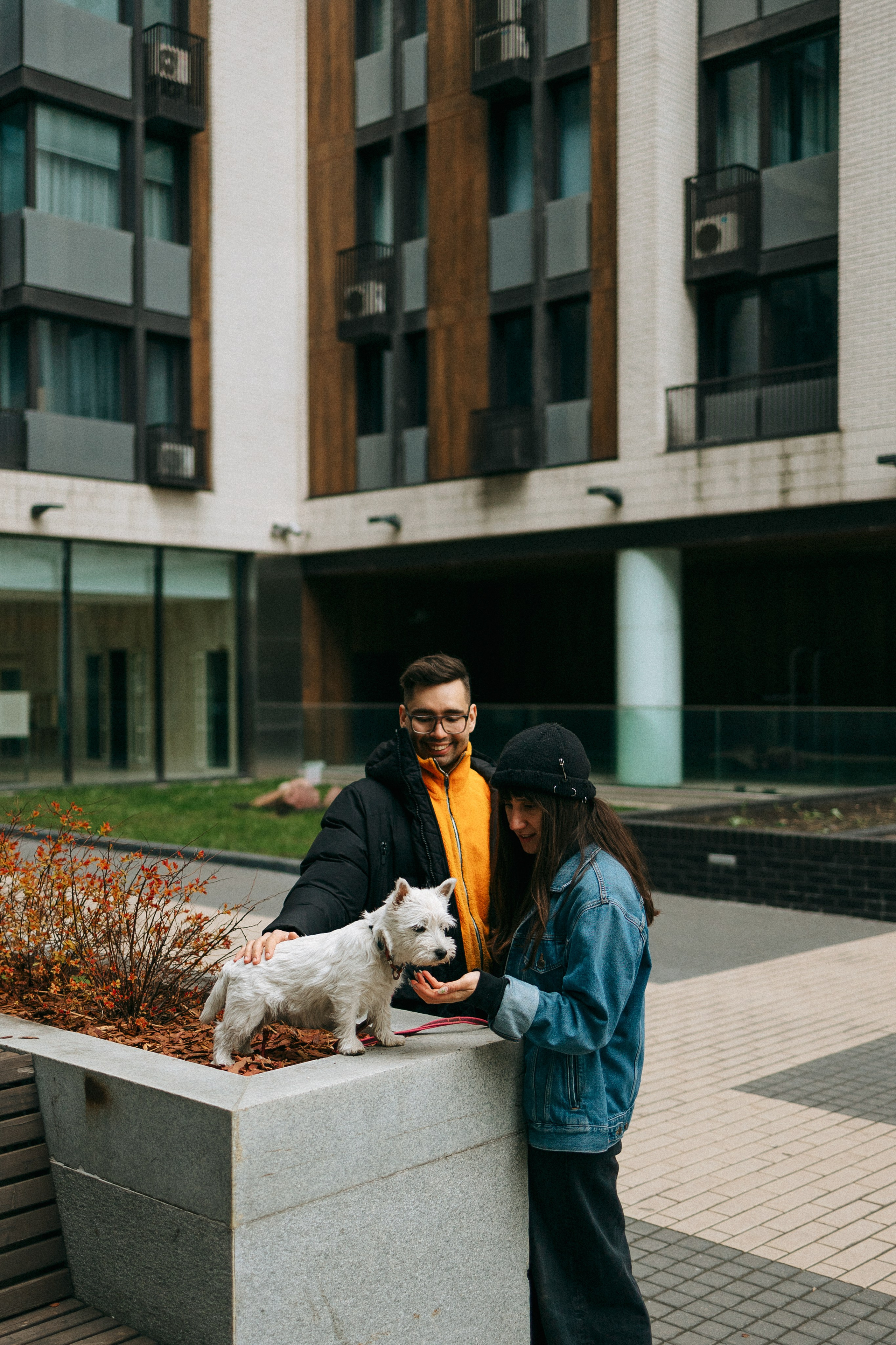 Снежуля, Мари и Саша. Фотограф анималист Анастасия Пикей