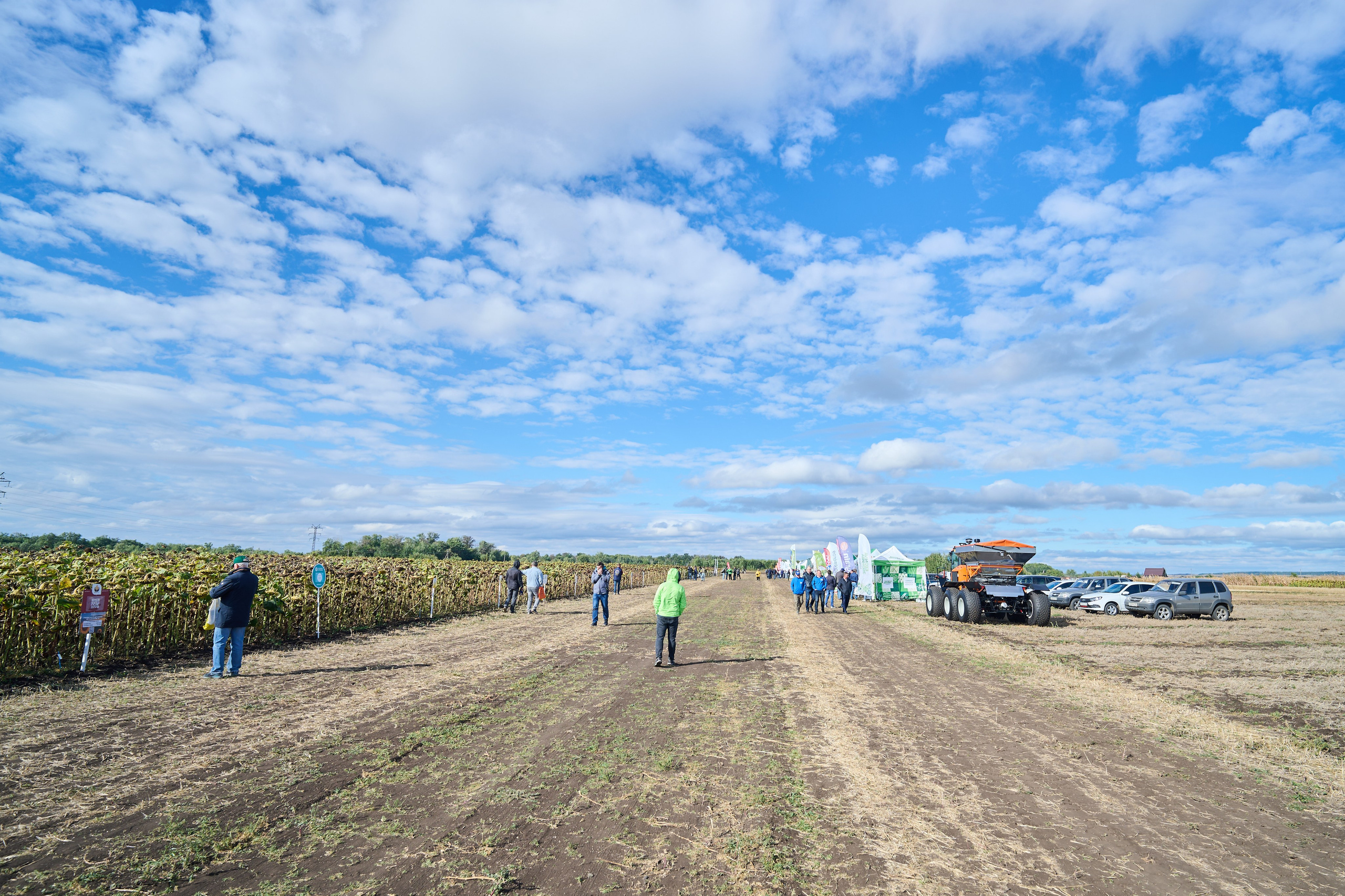 Самарский День поля 2025. Фотограф в Самаре