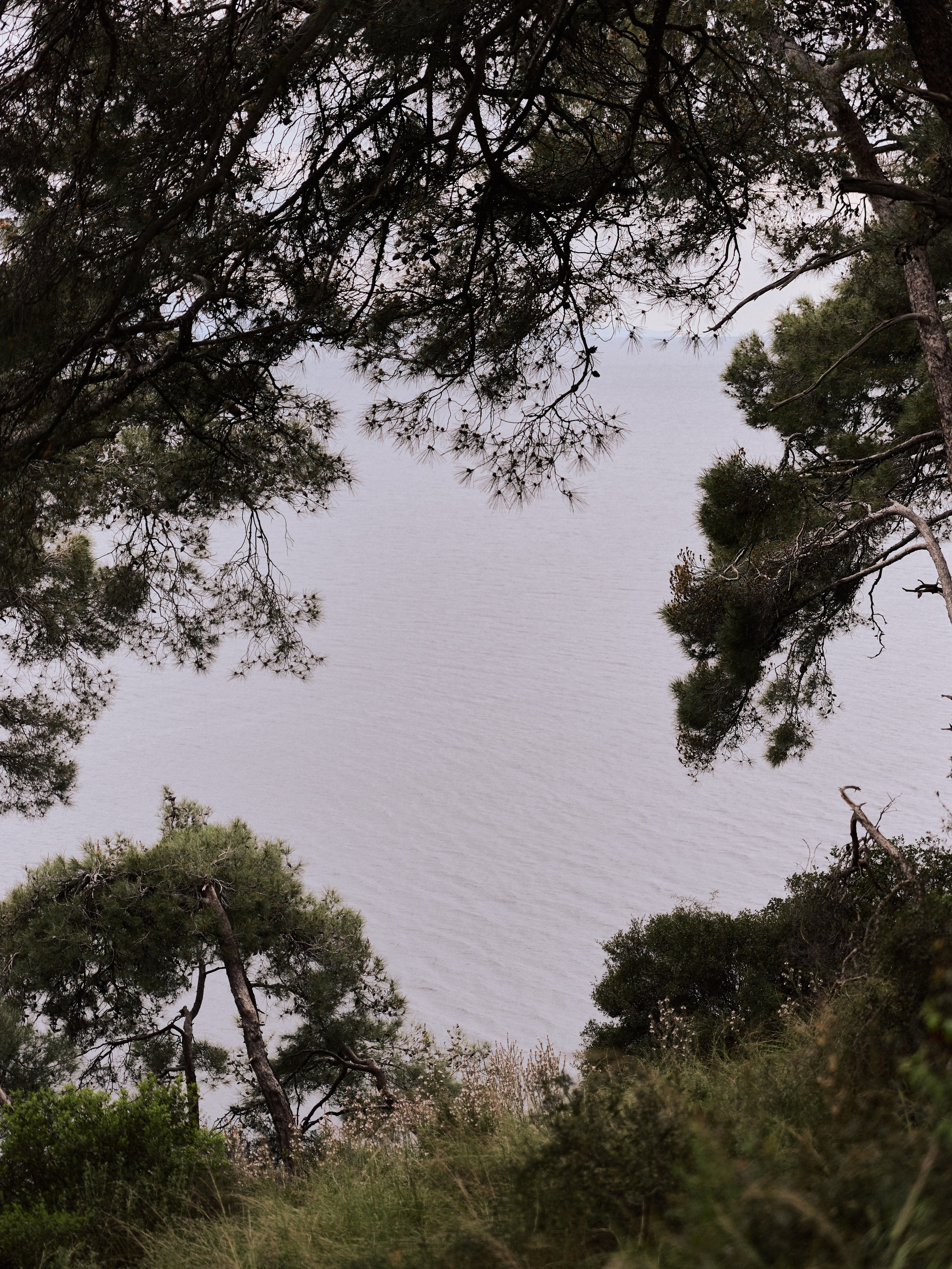 Природа. Jorgis Talè — photographer, kind person, teacher of arts and other mag