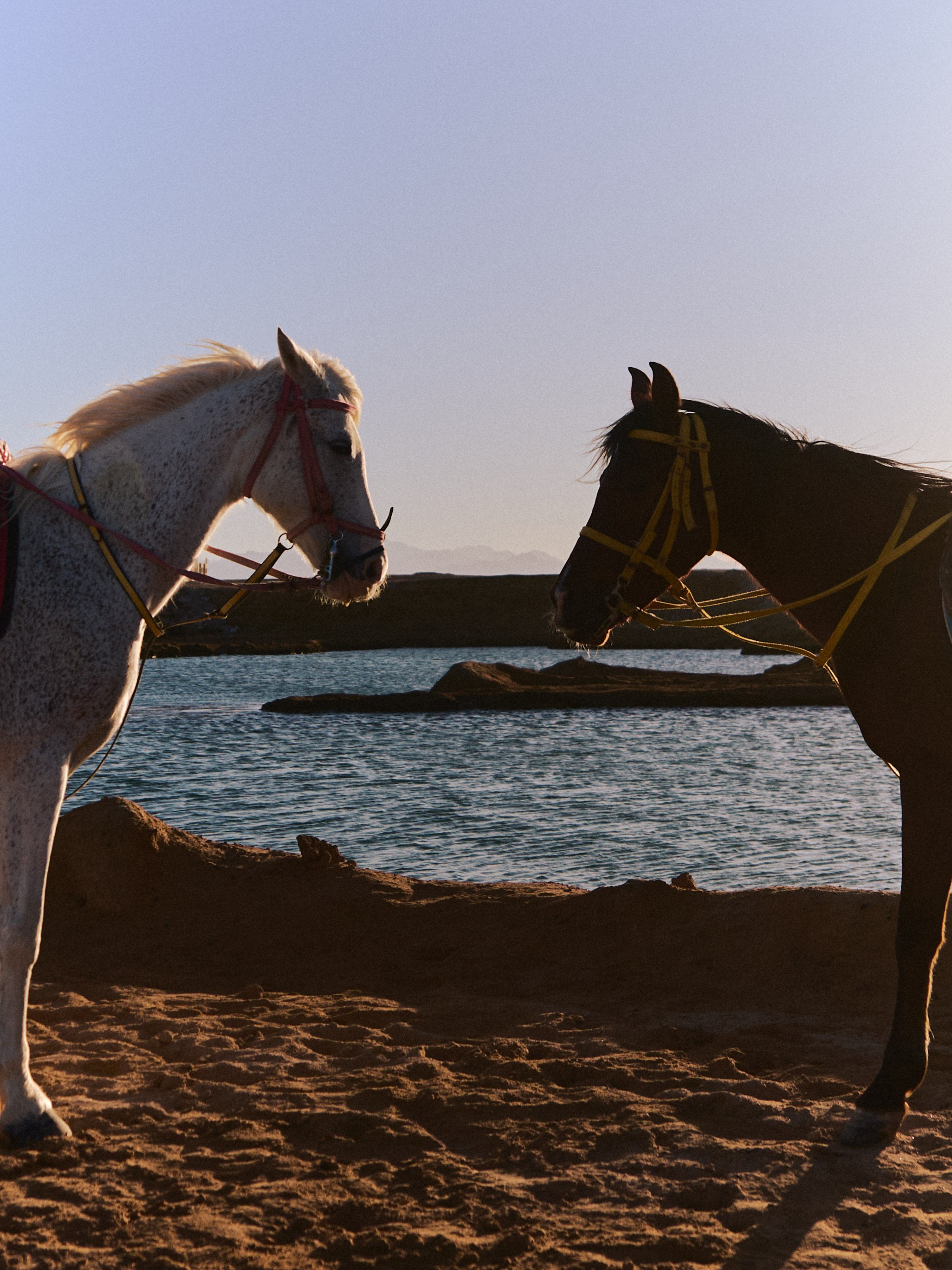 Диптих. Jorgis — фотограф в Хургаде / обучение фотографии