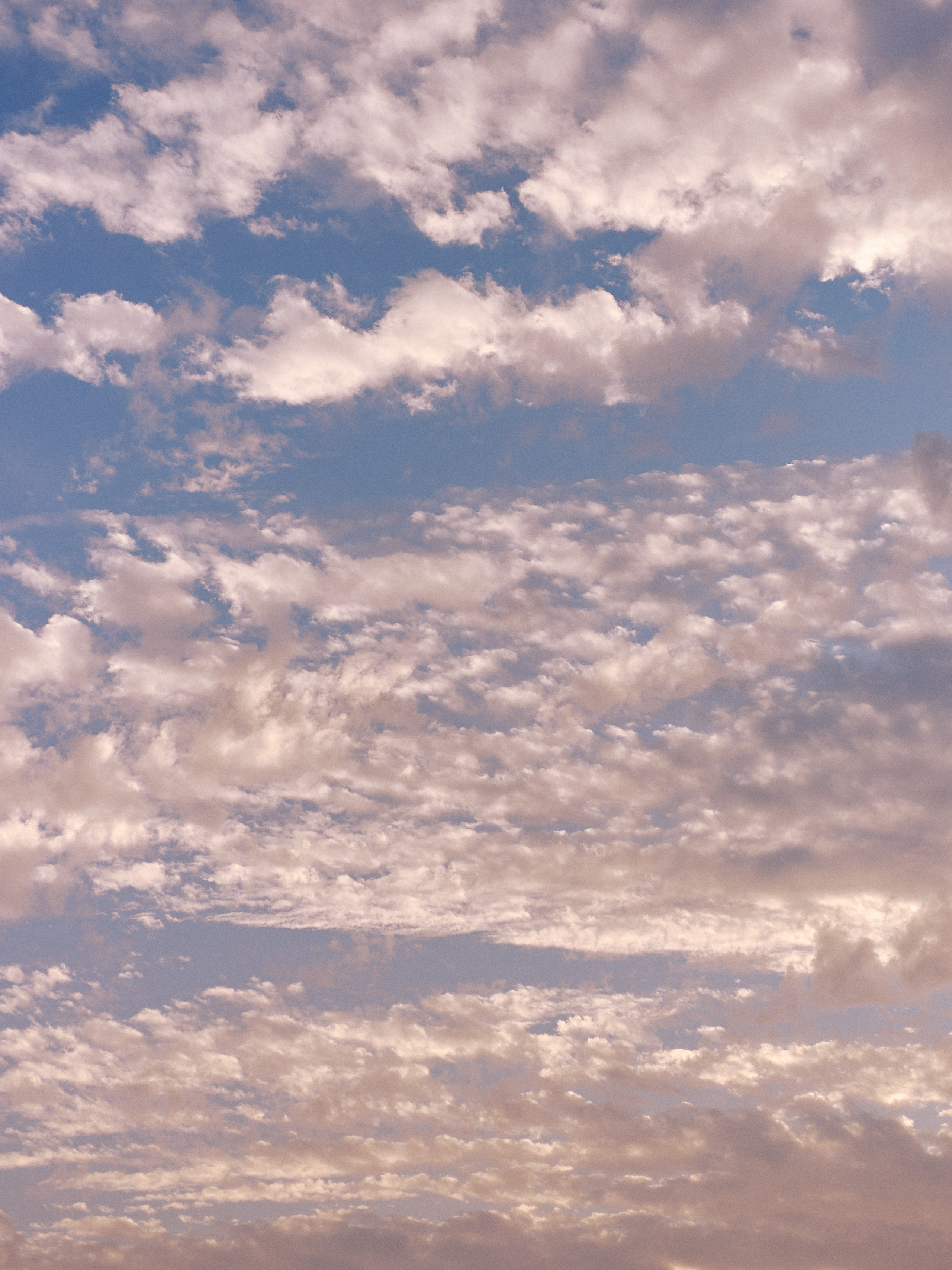 Другое 4. Jorgis — фотограф в Хургаде / обучение фотографии