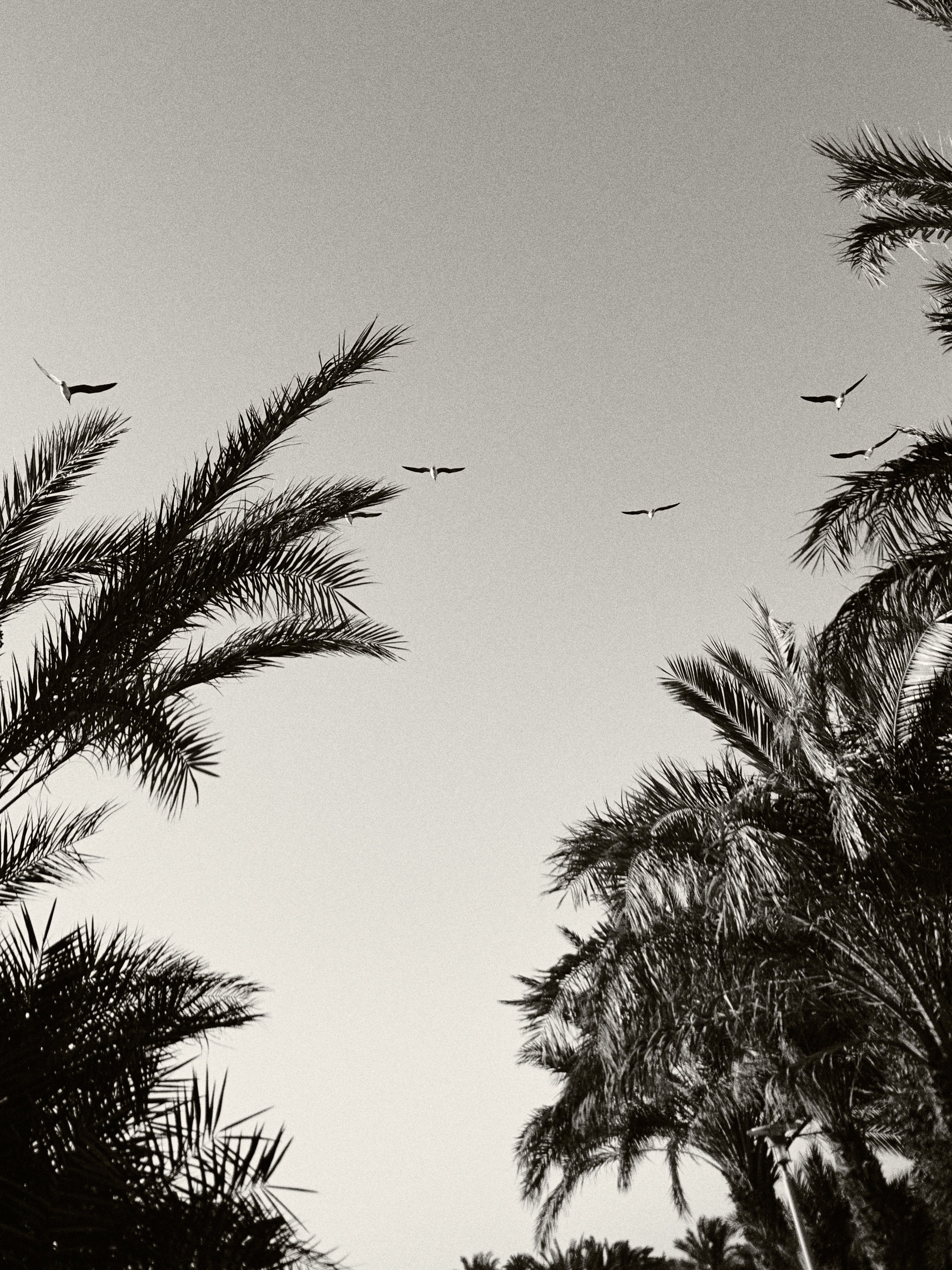 Диптих. Jorgis — фотограф в Хургаде / обучение фотографии