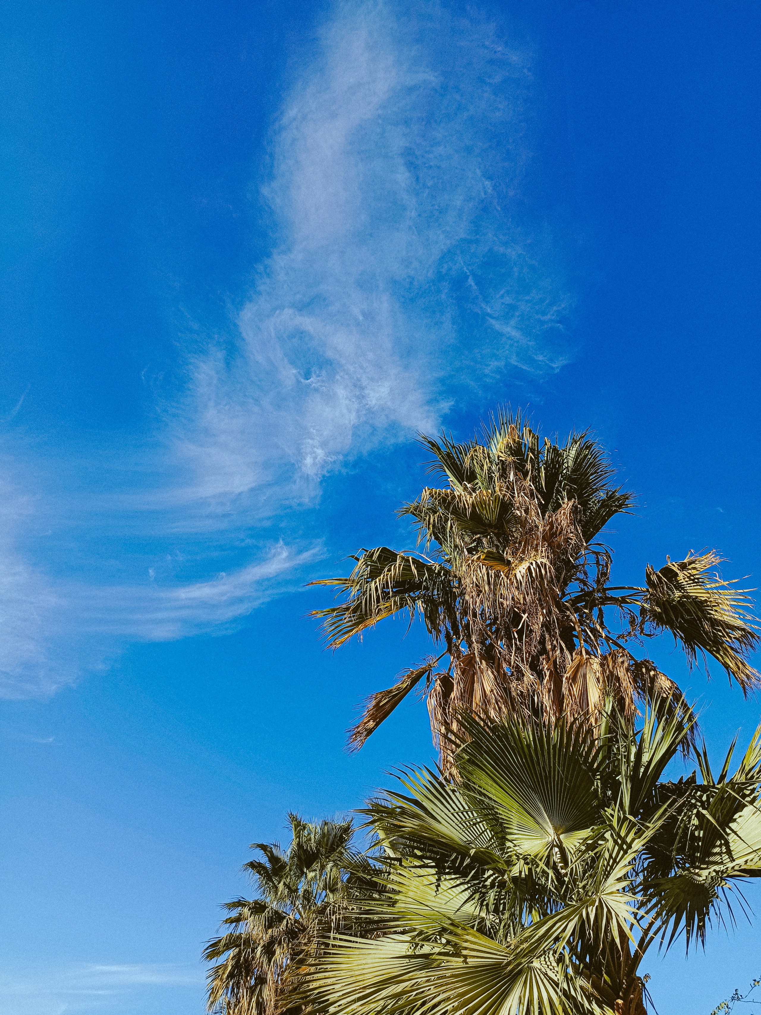 Мобильная. Jorgis — фотограф в Хургаде / обучение фотографии