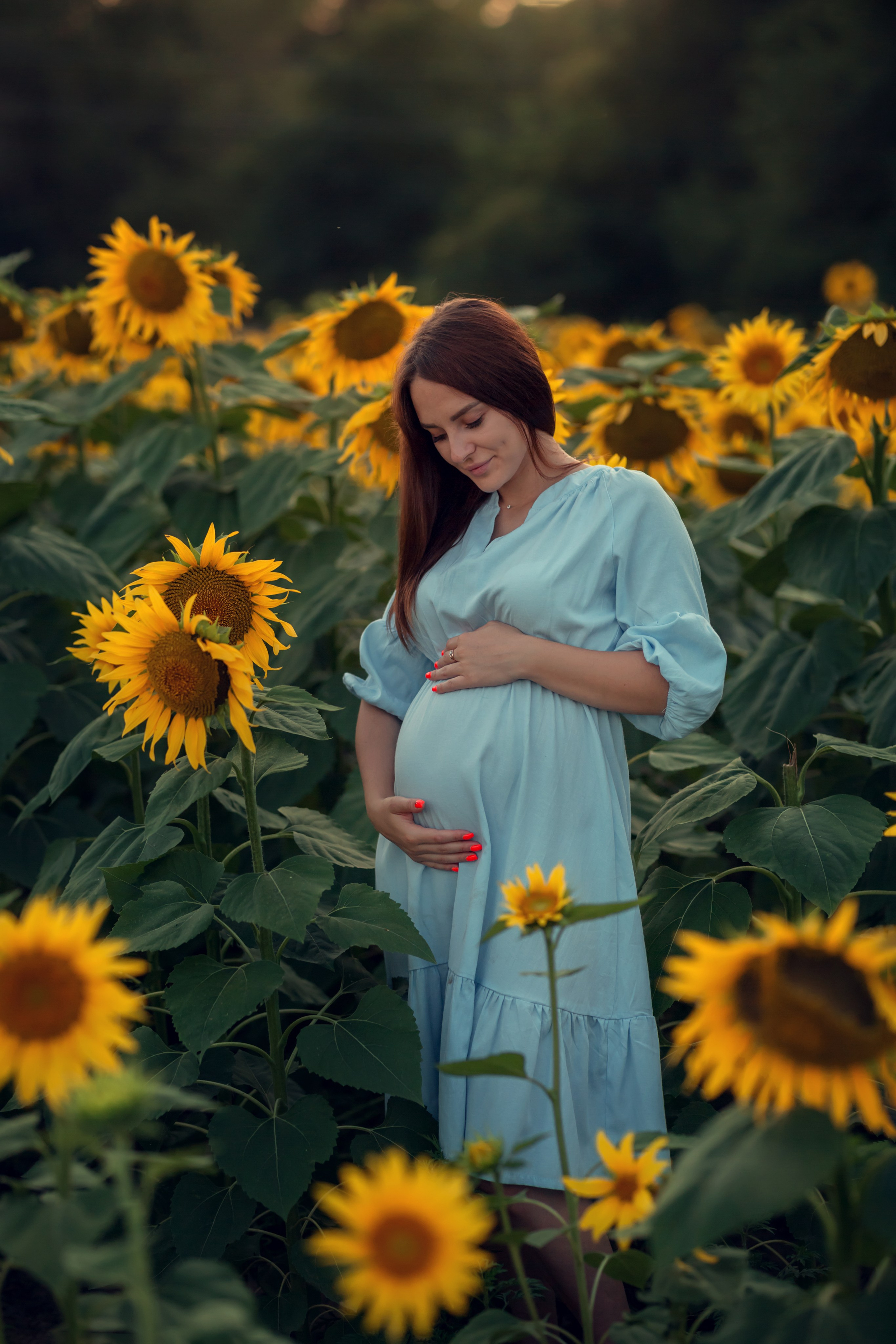 Подсолнухи. Семейный и детский фотограф Екатерина Савёлова