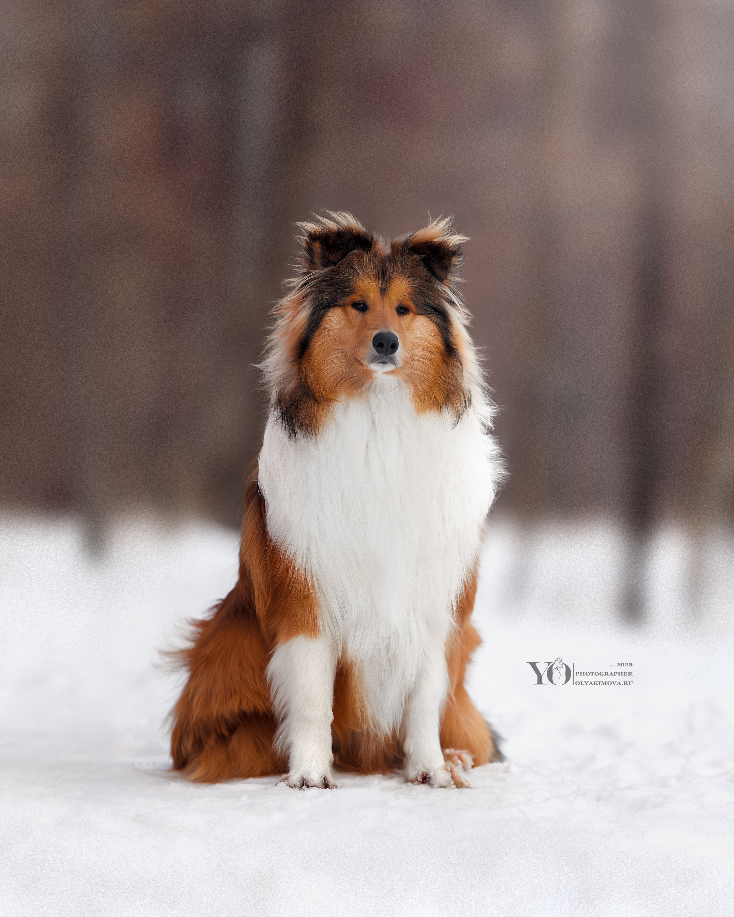 Экстерьер. Фотограф