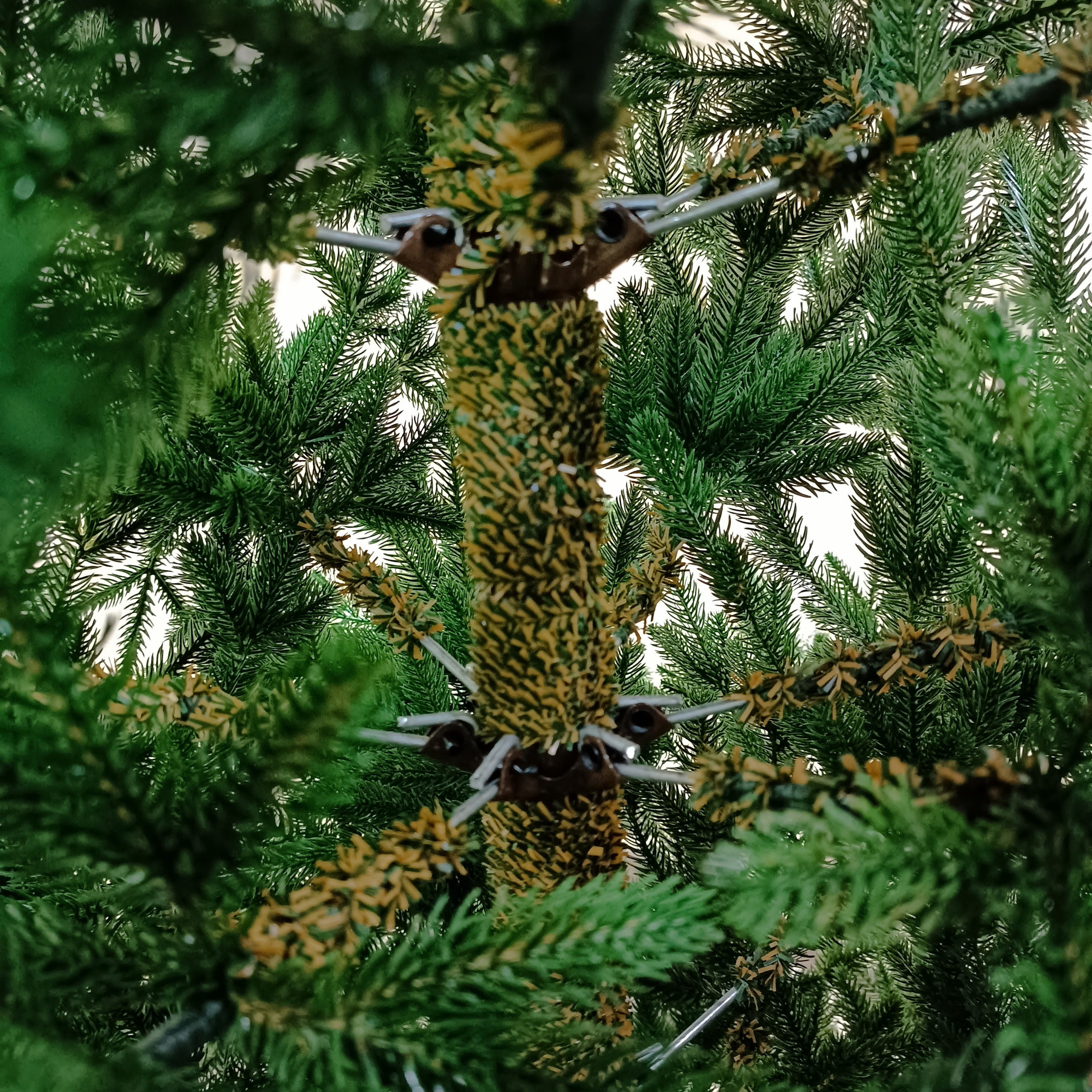 ВЕРСАЛЬ премиум. Elki_grodno