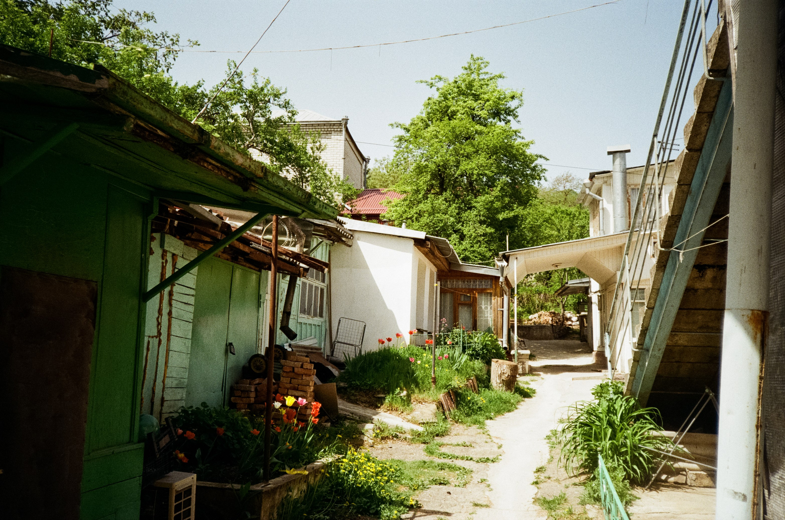 Прогулка по Курортному проспекту и Чебурашка. Кисловодск. Фотограф-документалист Мария Осокина