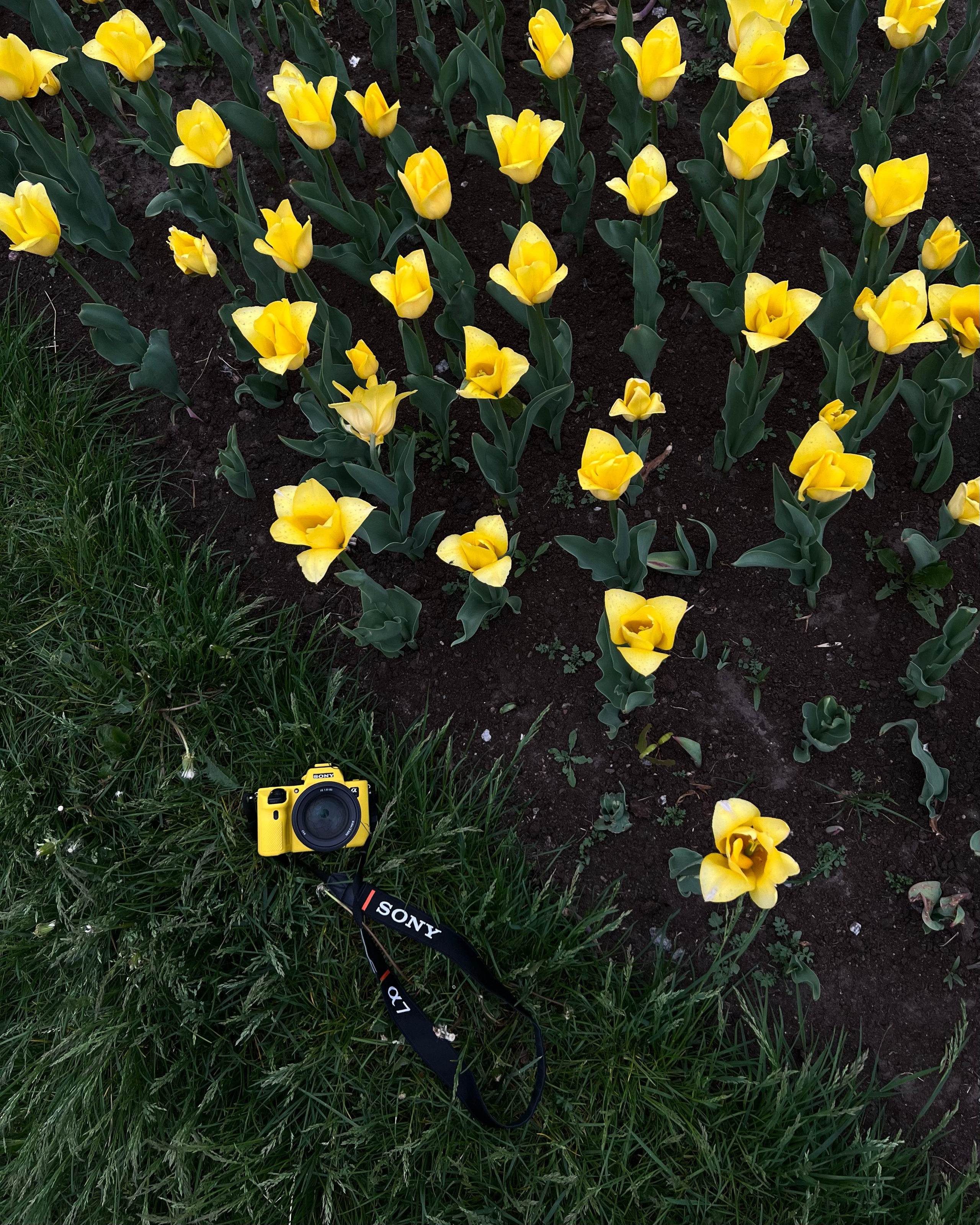 Репортажный и портретный Фотограф в Санкт-Петербурге Татьяна Девяткина