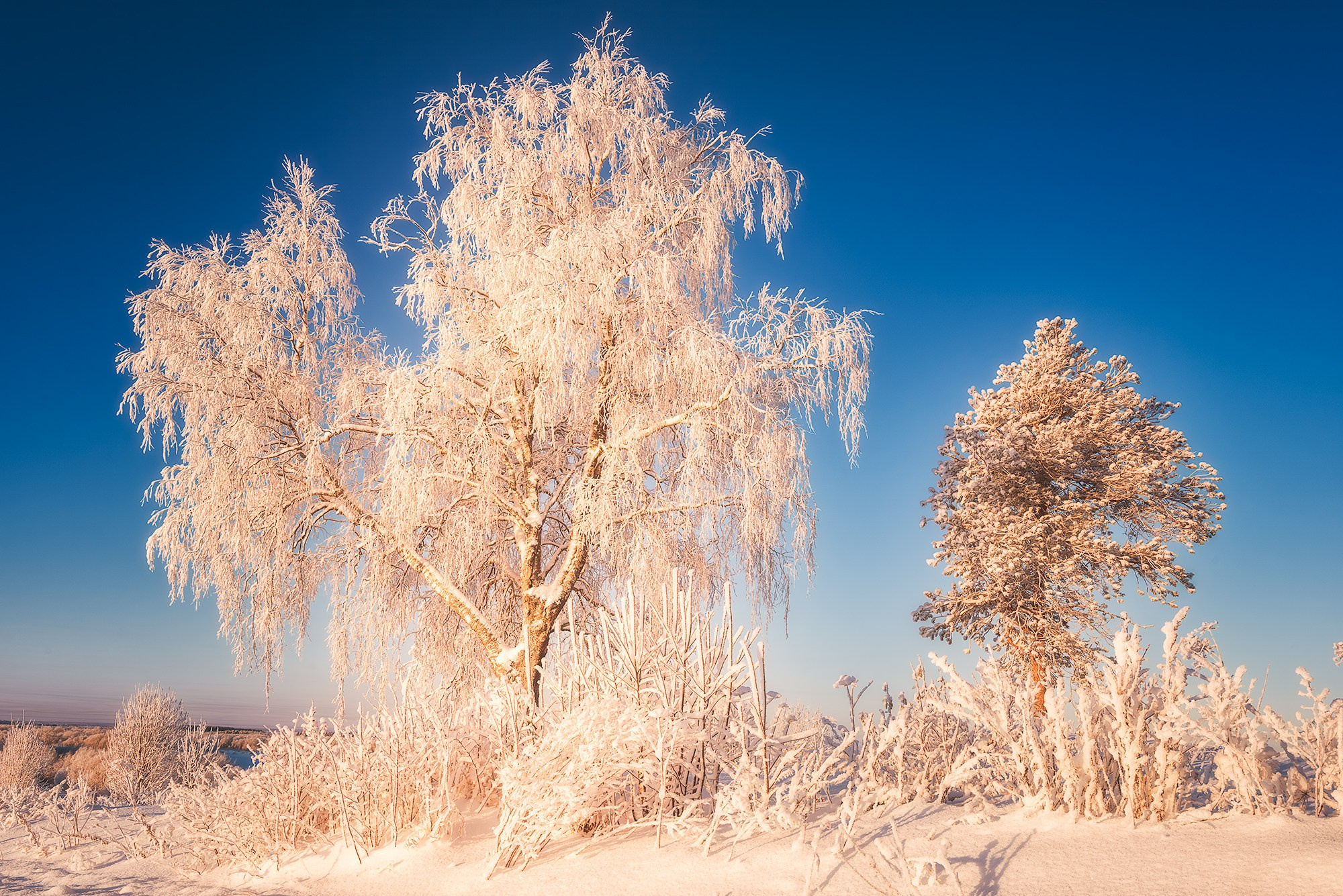 Пейзаж. Аэросъемка в Архангельске, Александр Ермолин