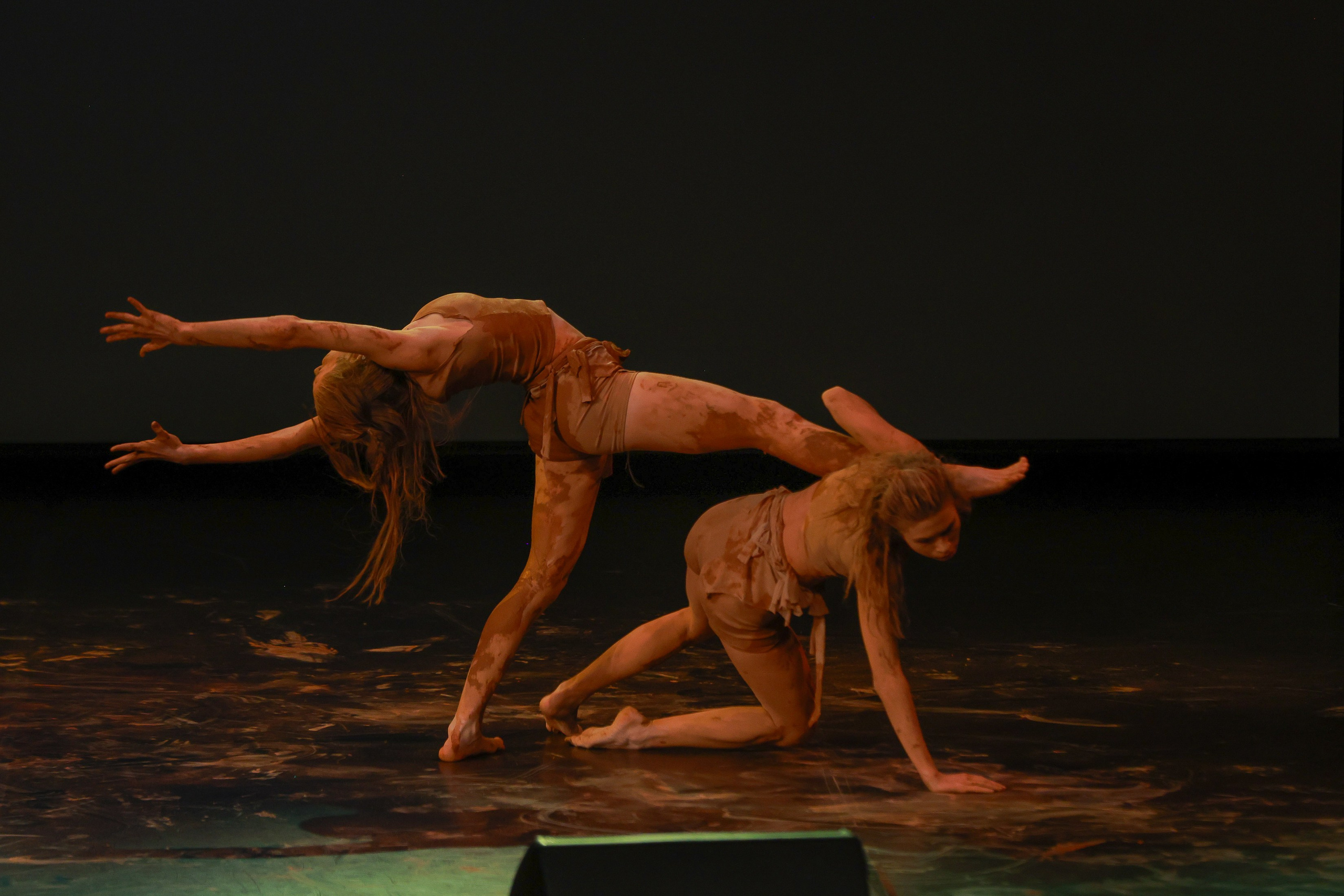 Небесные ласточки на Танц ЭКСПО 2026. Фотограф Юлия Мальцева