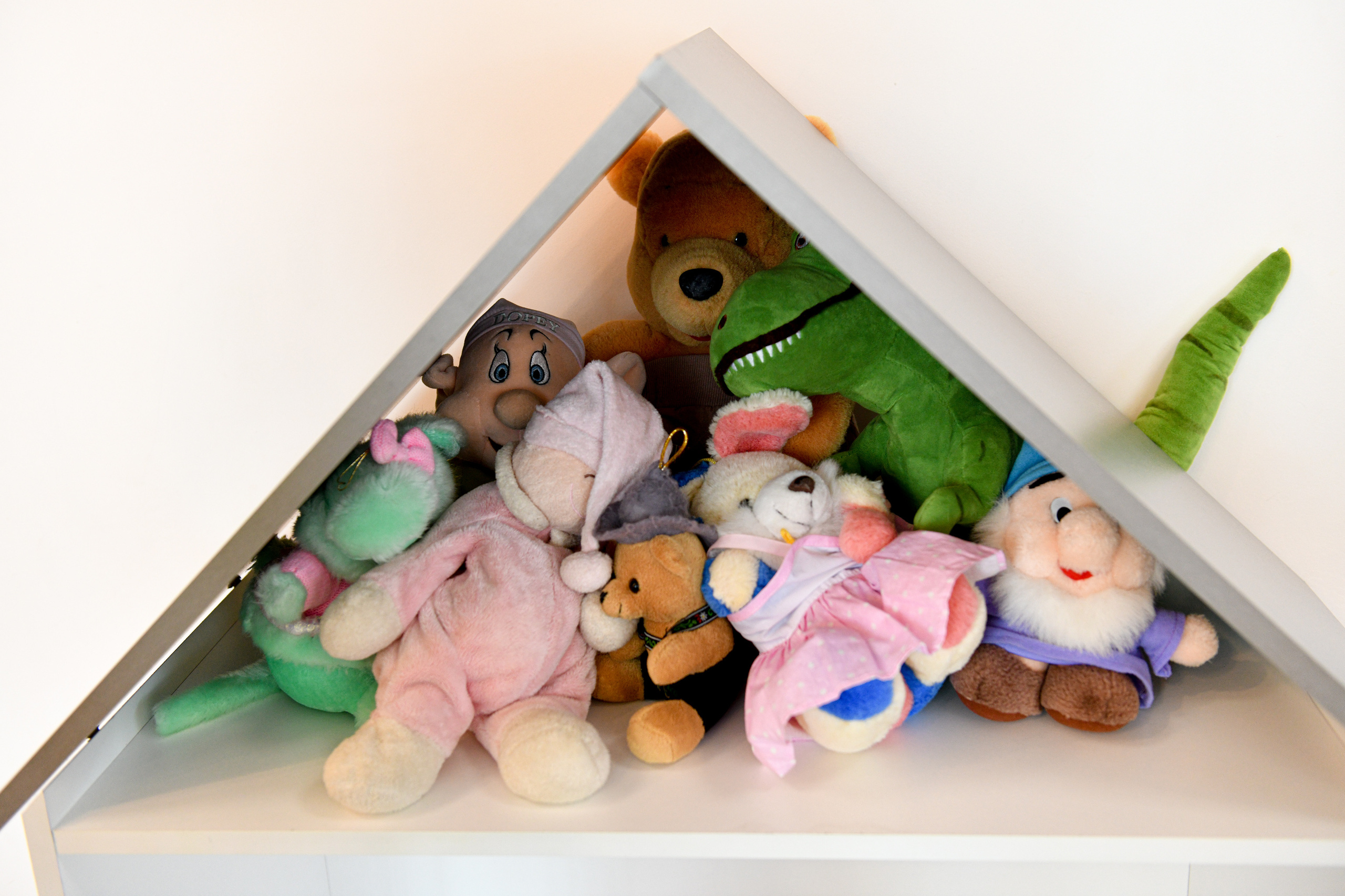 Игровой центр Кот на нитке. Мытищи. Свадебный и портретный фотограф в Москве Галина Борисова