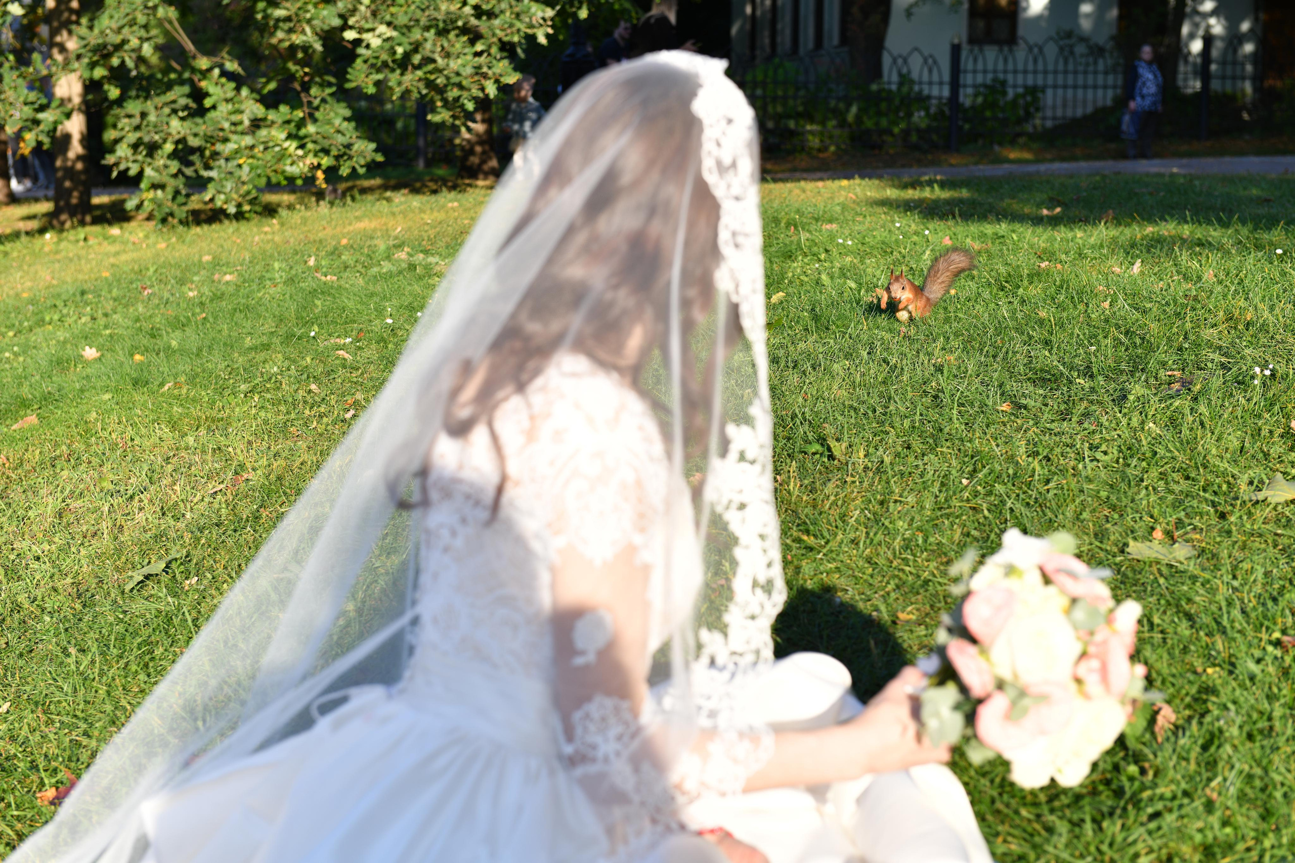 Алёна и Михаил Свадьба. Свадебный и портретный фотограф в Москве Галина Борисова