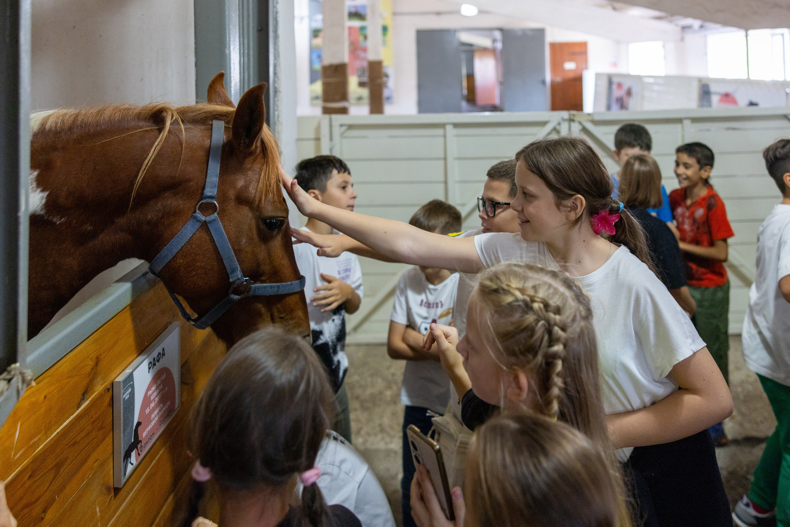Поездка на поле Кулеково. Фотограф в Туле Крупский АнДРей. Фотостудия «КАДР71» в Туле