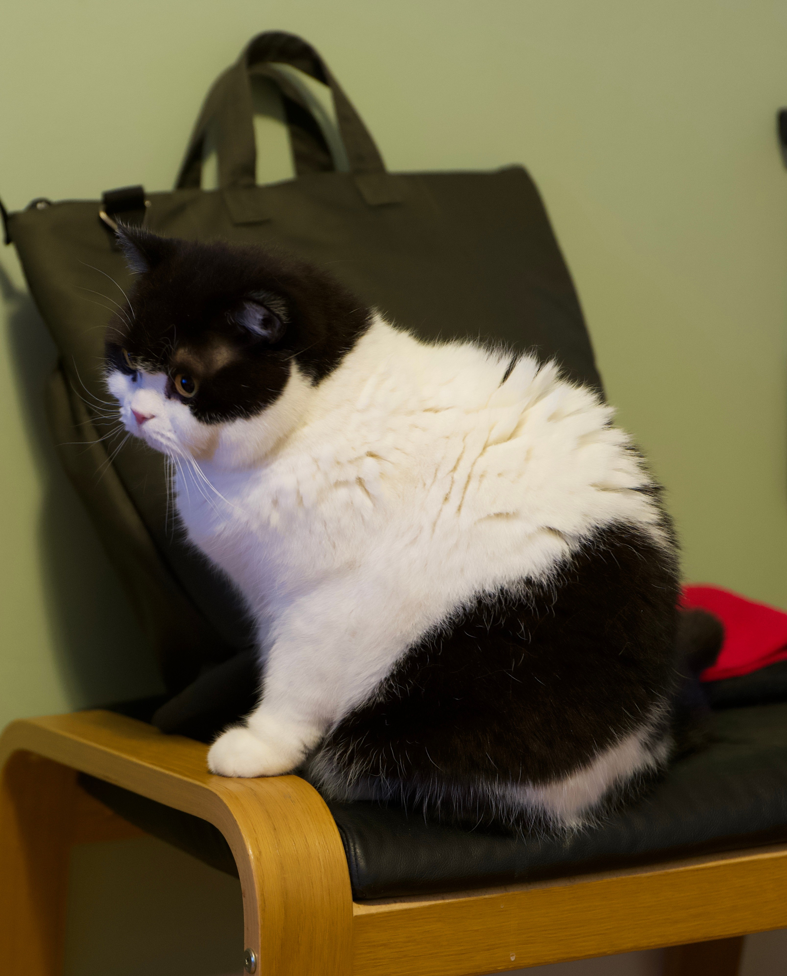 Мои фото. Владимир Власюк