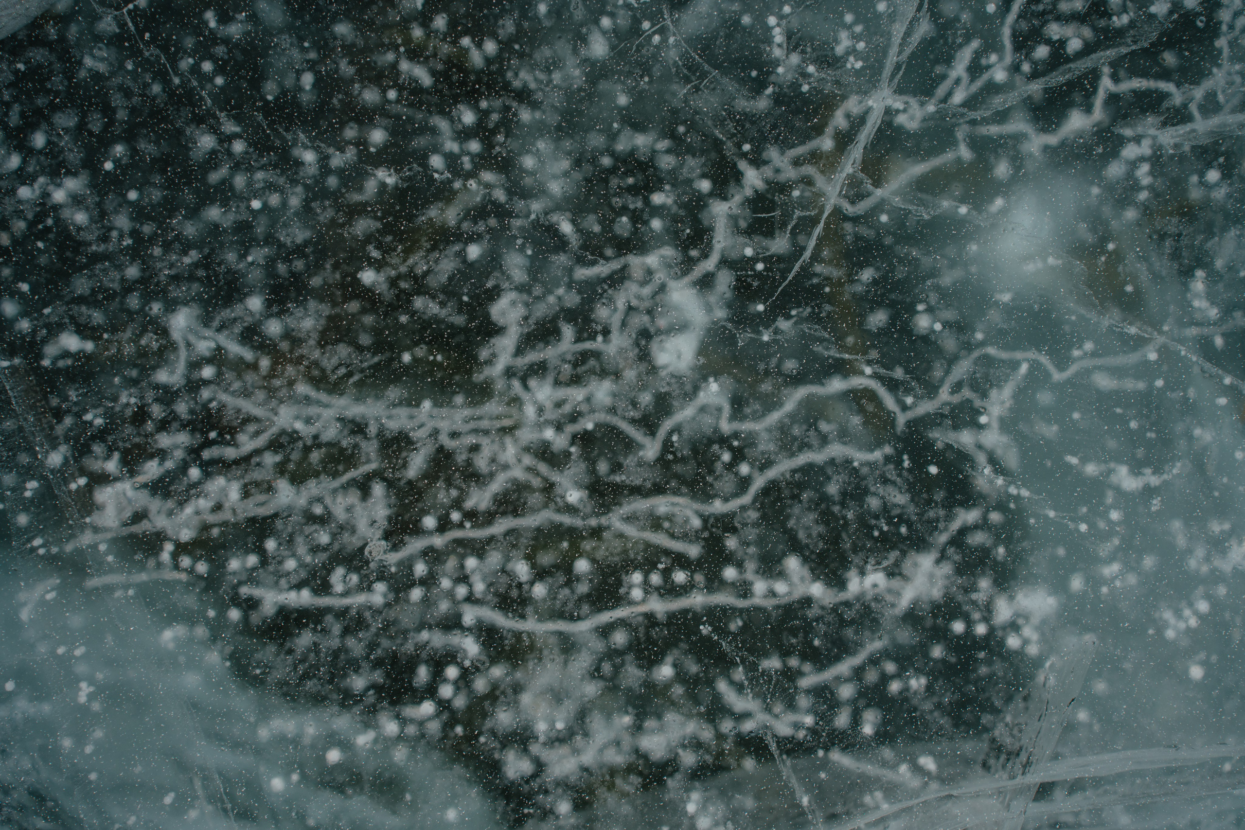 Байкал. Свадебный и семейный фотограф в Красноярске Наталья Дроздова