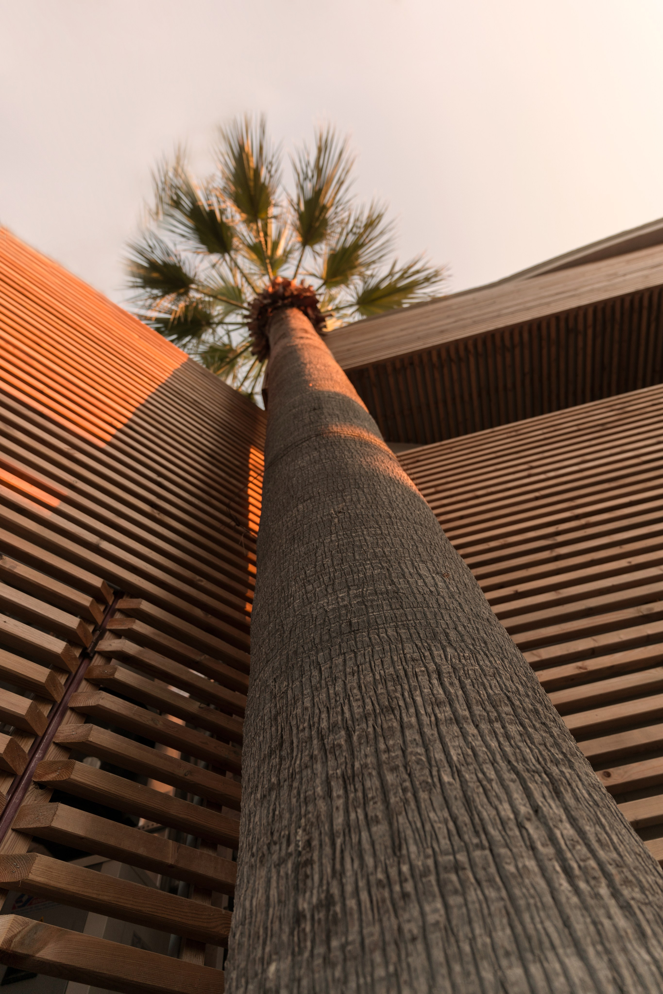 фотостудия Стамбул, ретушь фото Стамбул, печать фото Стамбул, фотокниги Стамбул, фотоальбомы Стамбул, фото на документы Стамбул, фото на свадьбу Стамбул, фото на крещение Стамбул, фото на день рождения Стамбул, фото на выпускной Стамбул, фотостудия Кемер ретушь, фото Кемер печать, фото Кемер, фотокниги Кемер, фотоальбомы Кемер, фото на документы Кемер, фото на свадьбу Кемер, фото на крещение Кемер, фото на день рождения Кемер,фото на выпускной Кемер 