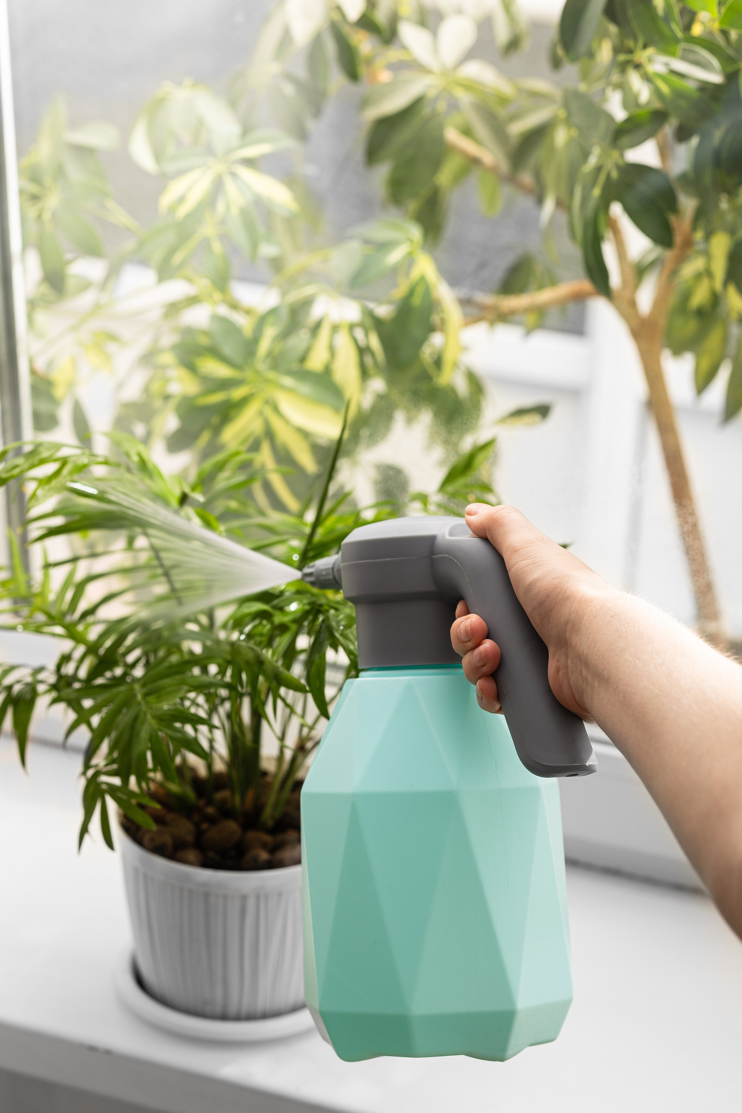 Опрыскиватель для маркетплейс. Предметный и фуд-фотограф Лариса Андреева г. Набережные Челны