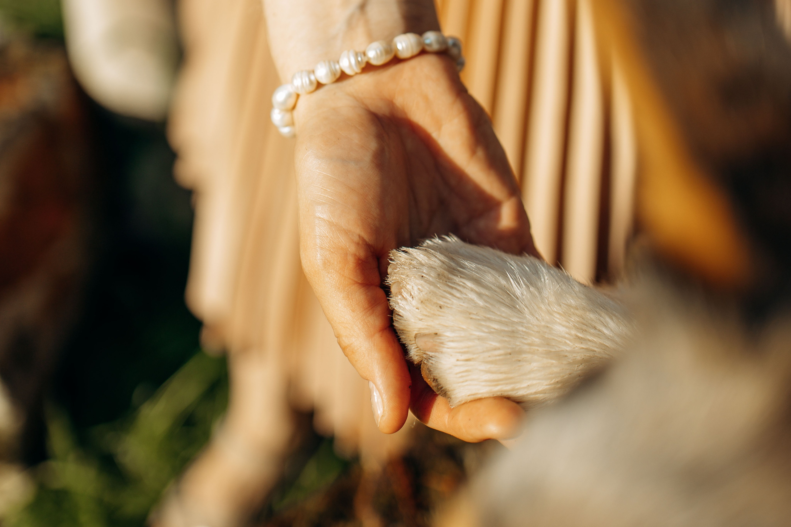 Евгения и Грей